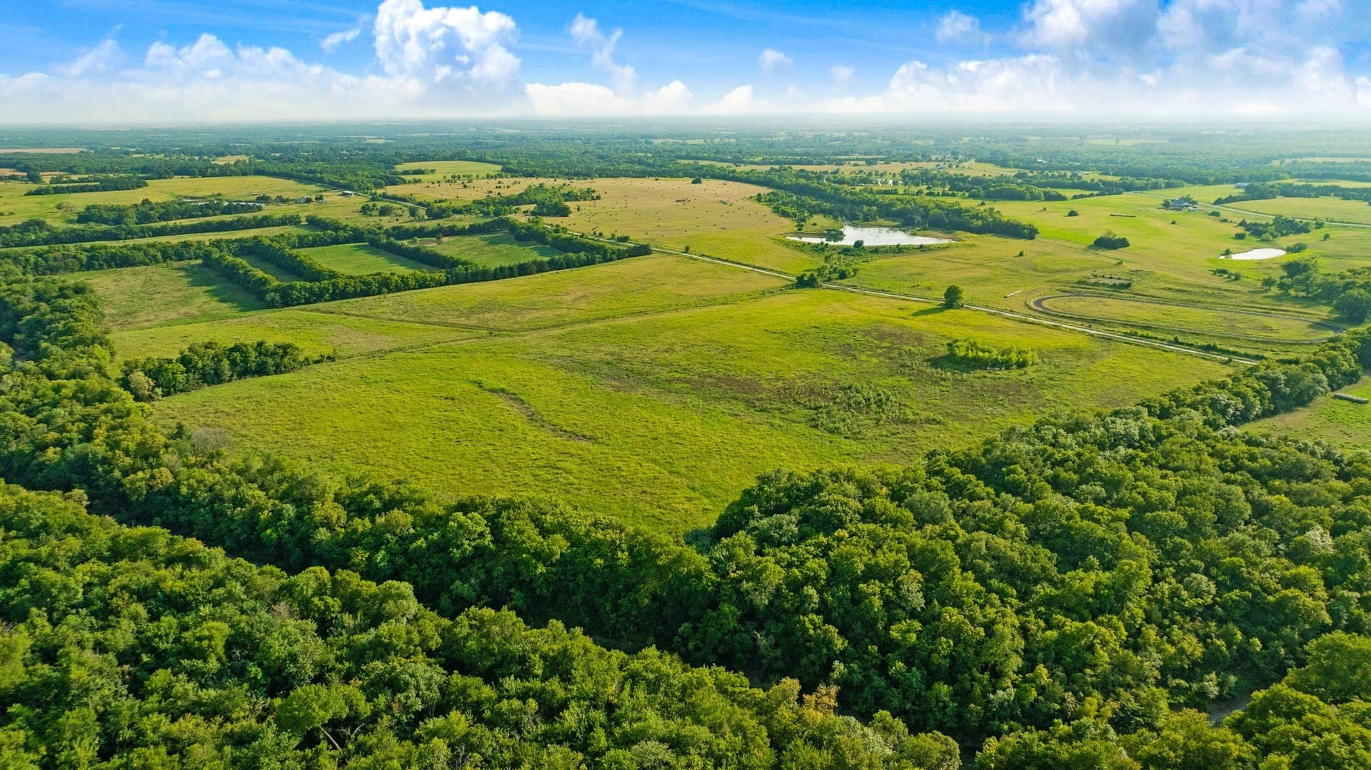 62 acres in Lamar County - photo 7