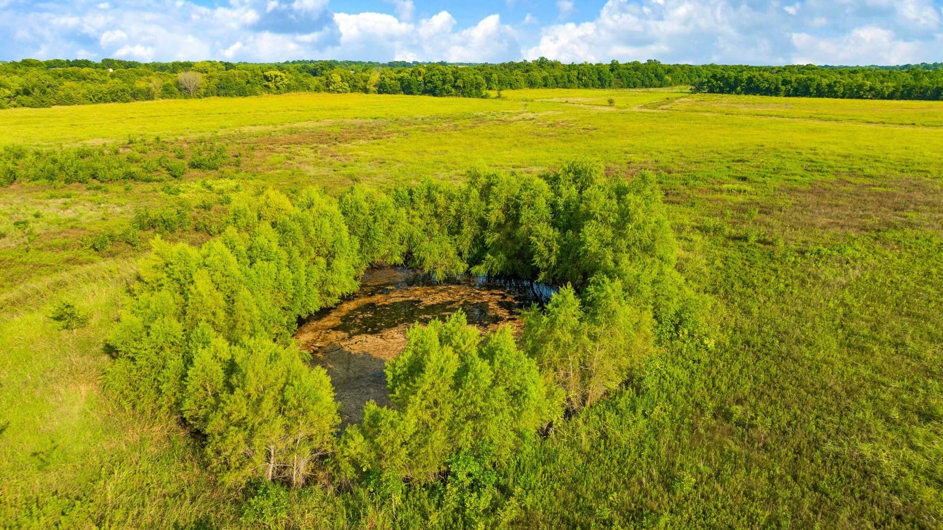 62 acres in Lamar County - photo 5