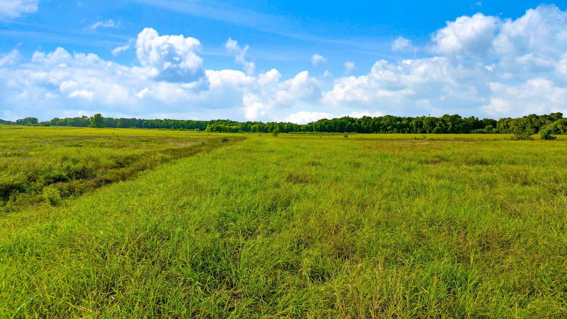 62 acres in Lamar County - photo 2