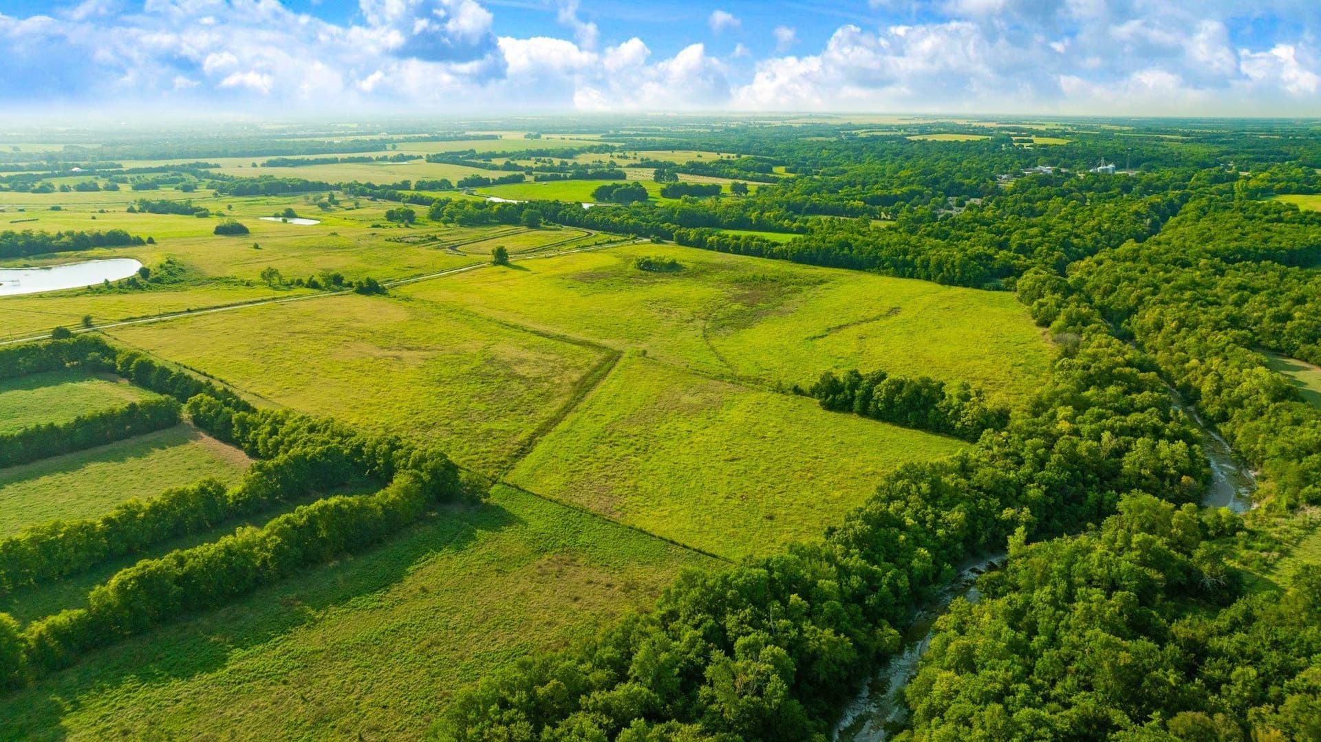 62 acres in Lamar County - photo 19