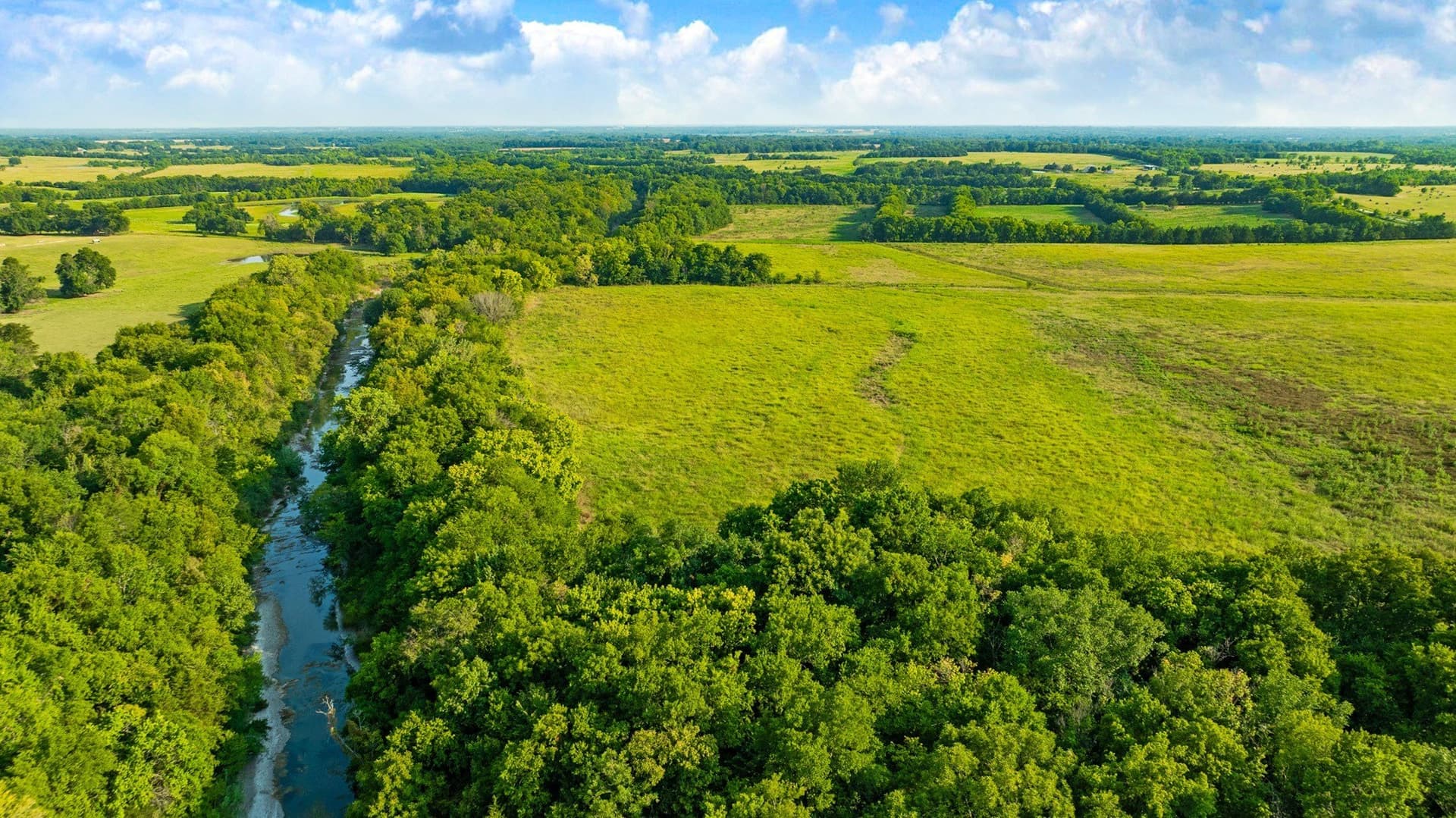 62 acres in Lamar County - photo 9