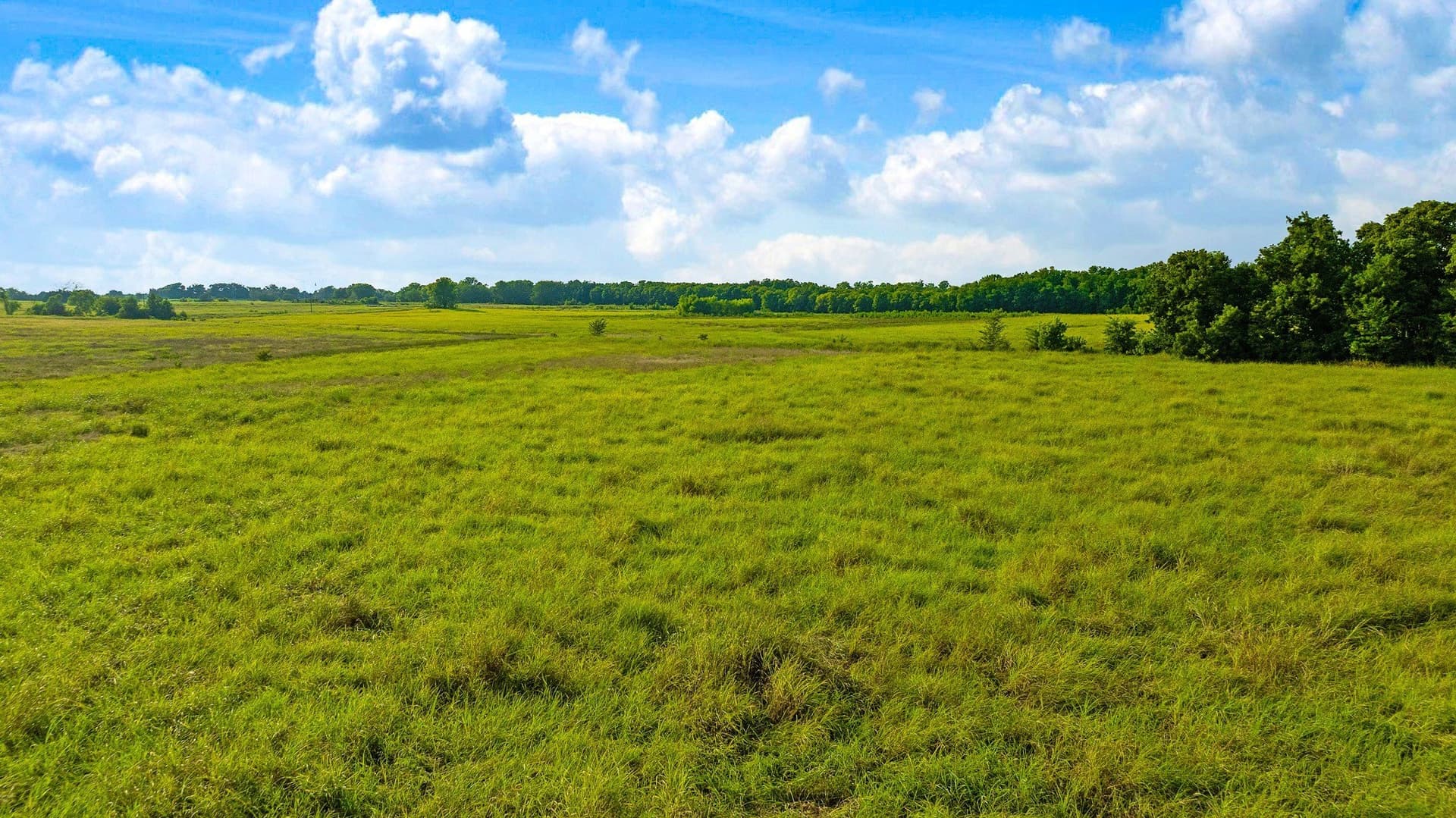 62 acres in Lamar County - photo 22
