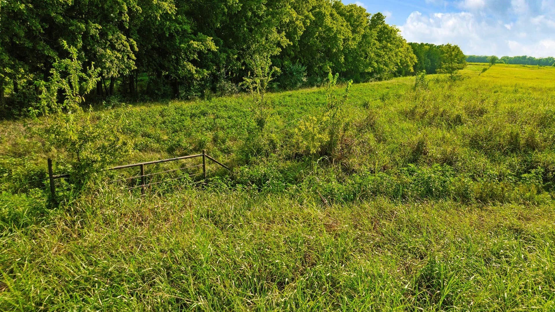 62 acres in Lamar County - photo 24