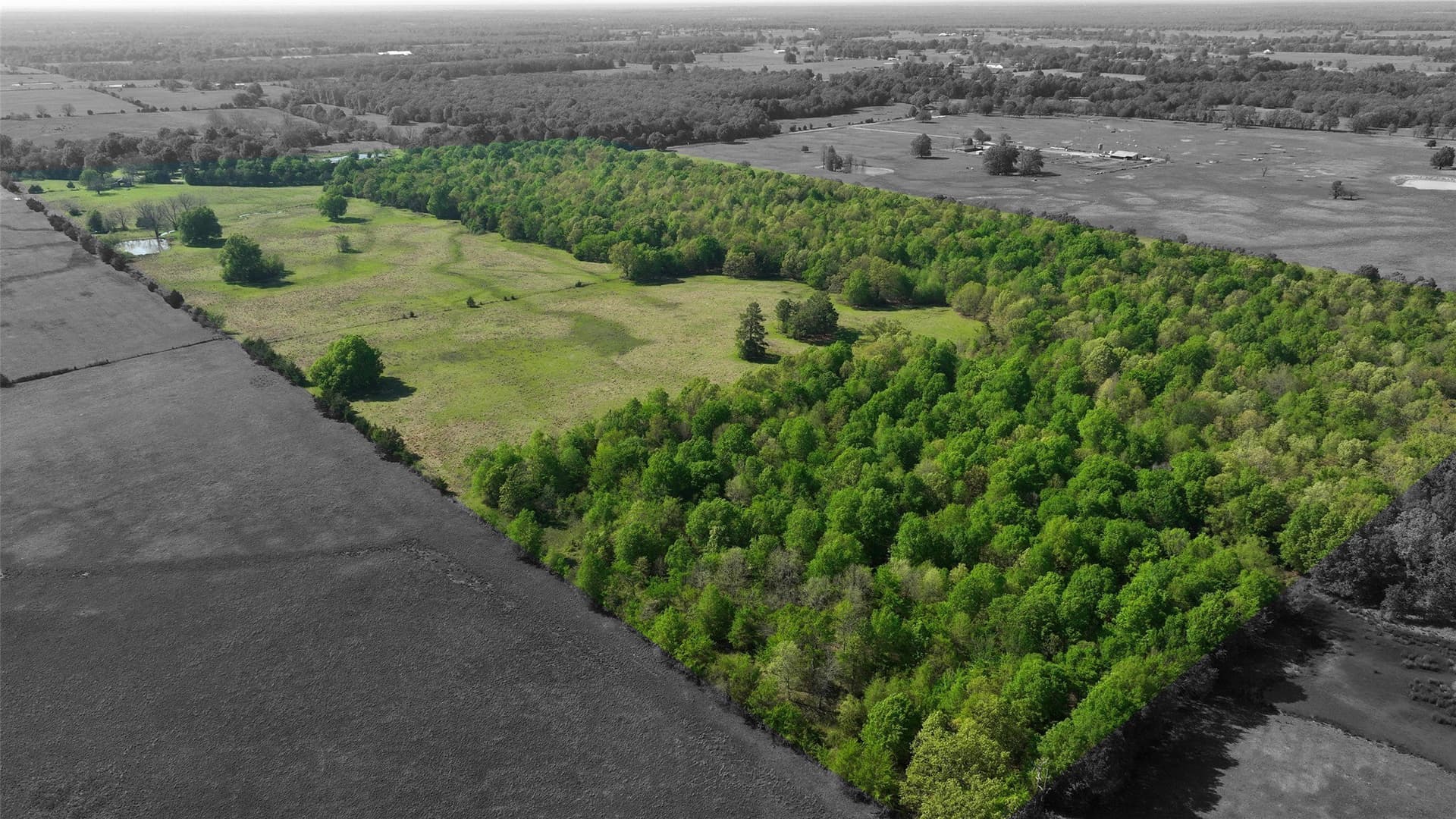 69.34 acres in Lamar County gallery image 3