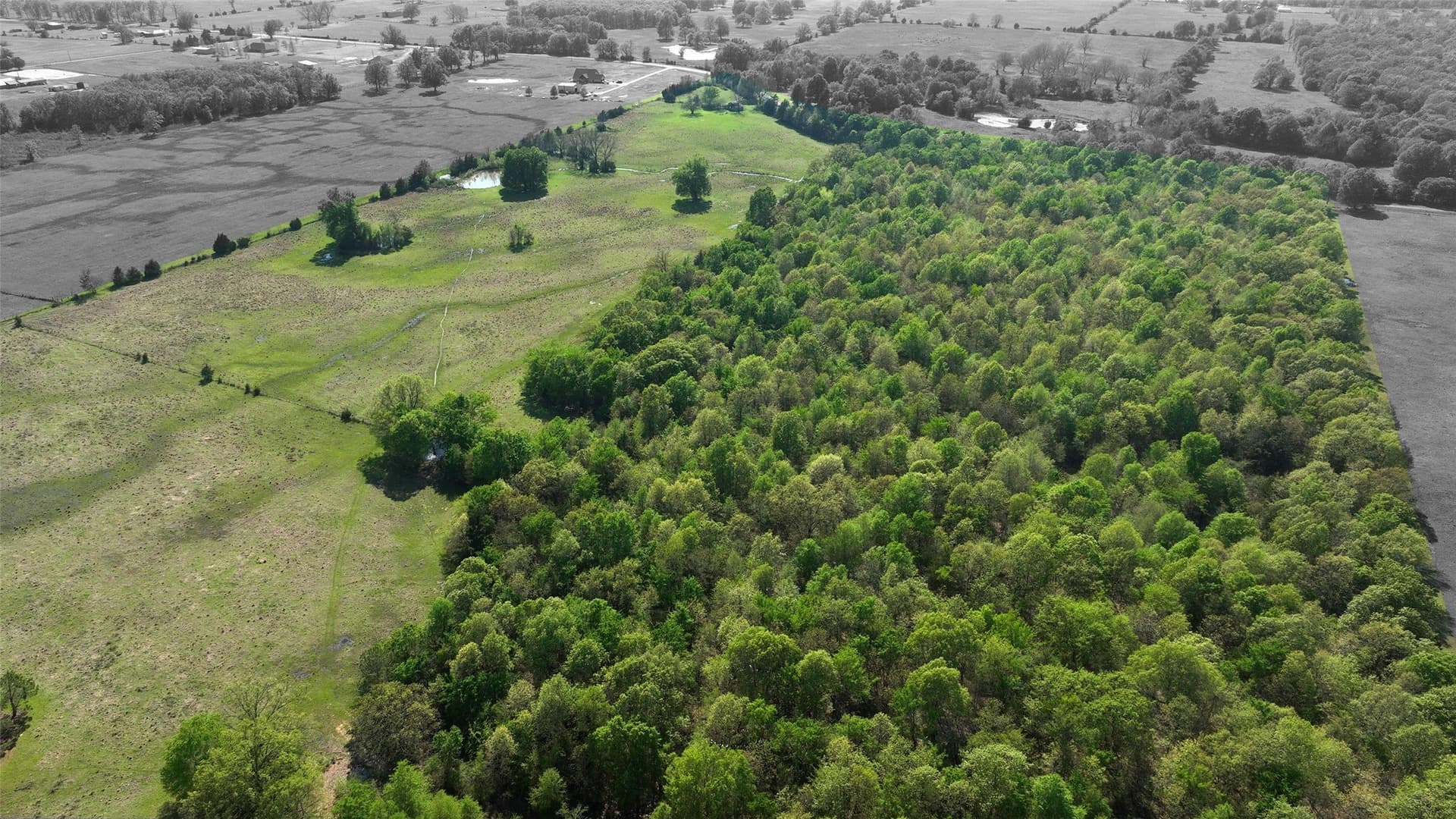 69.34 acres in Lamar County gallery image 4