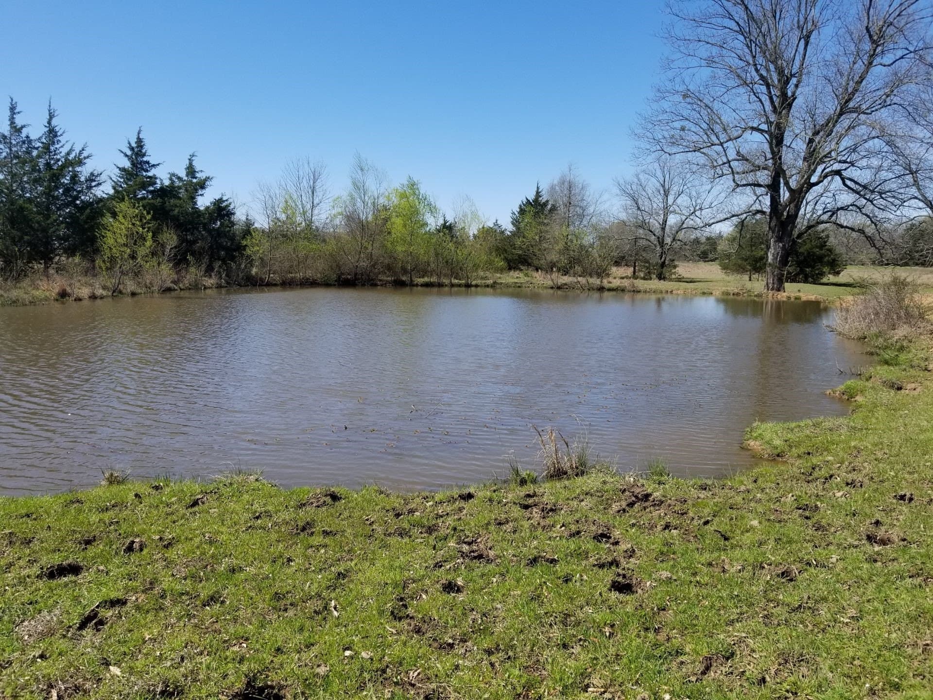 69.34 acres in Lamar County - photo 10