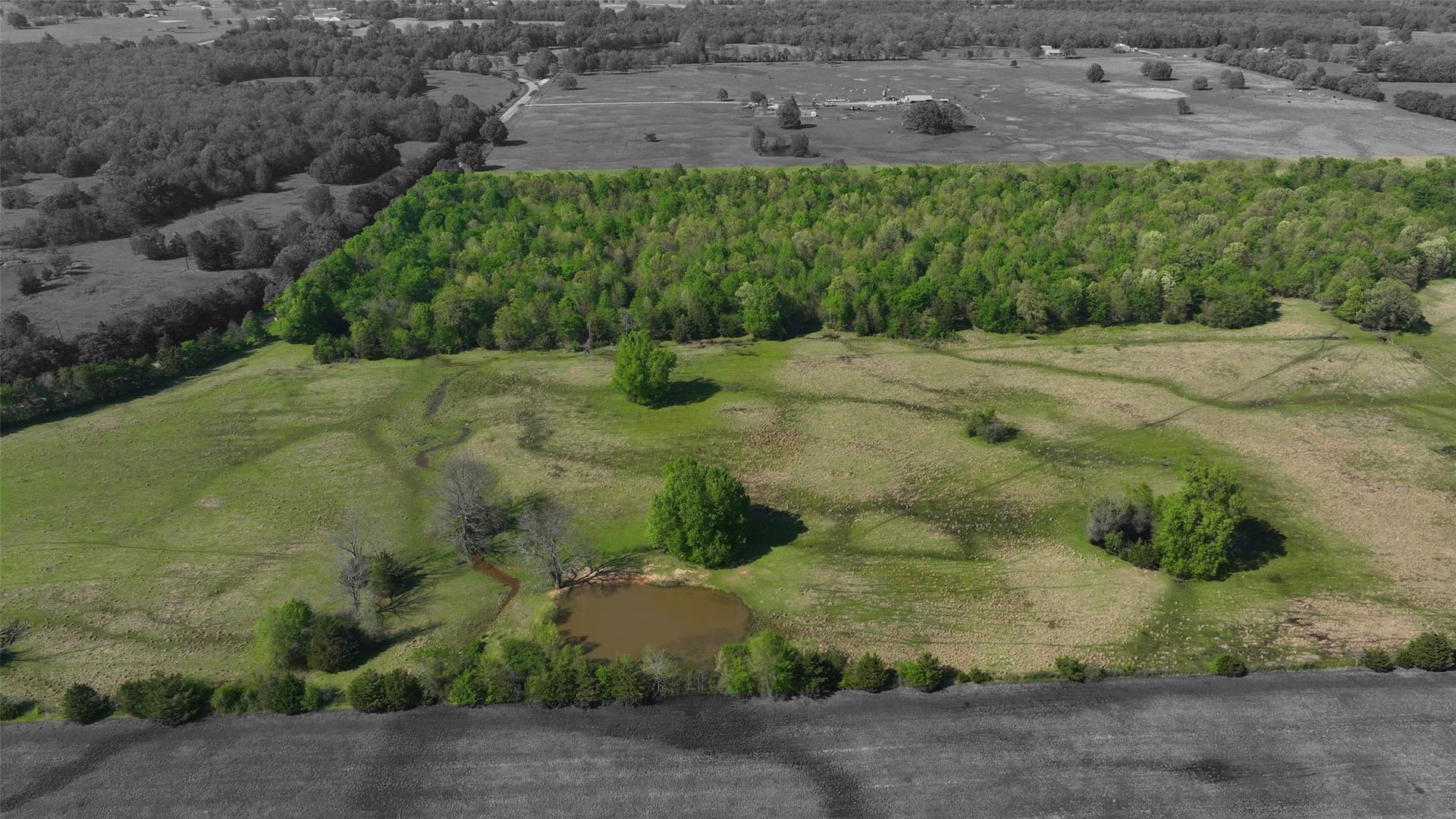 69.34 acres in Lamar County gallery image 2