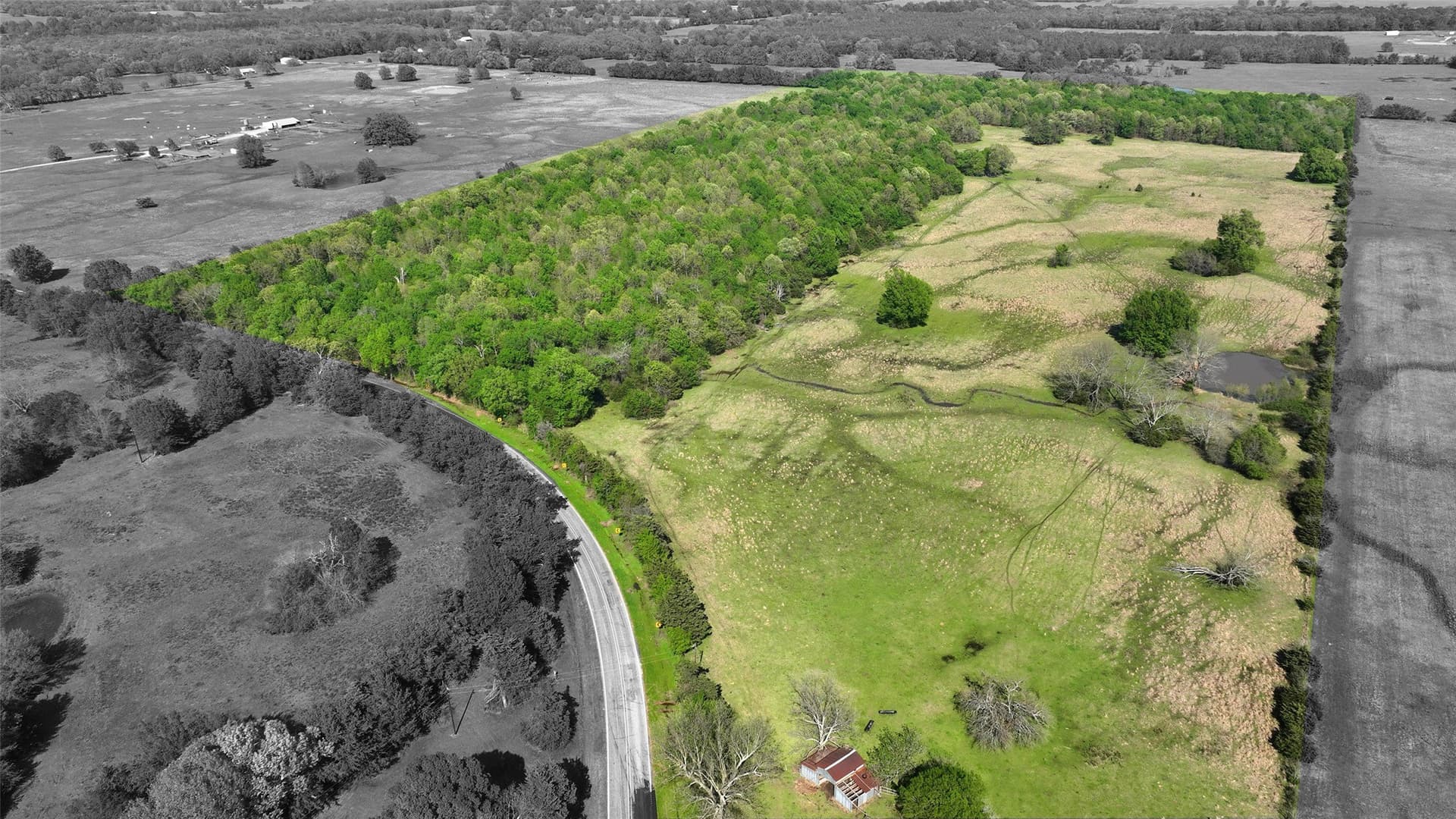 69.34 acres in Lamar County - photo 6