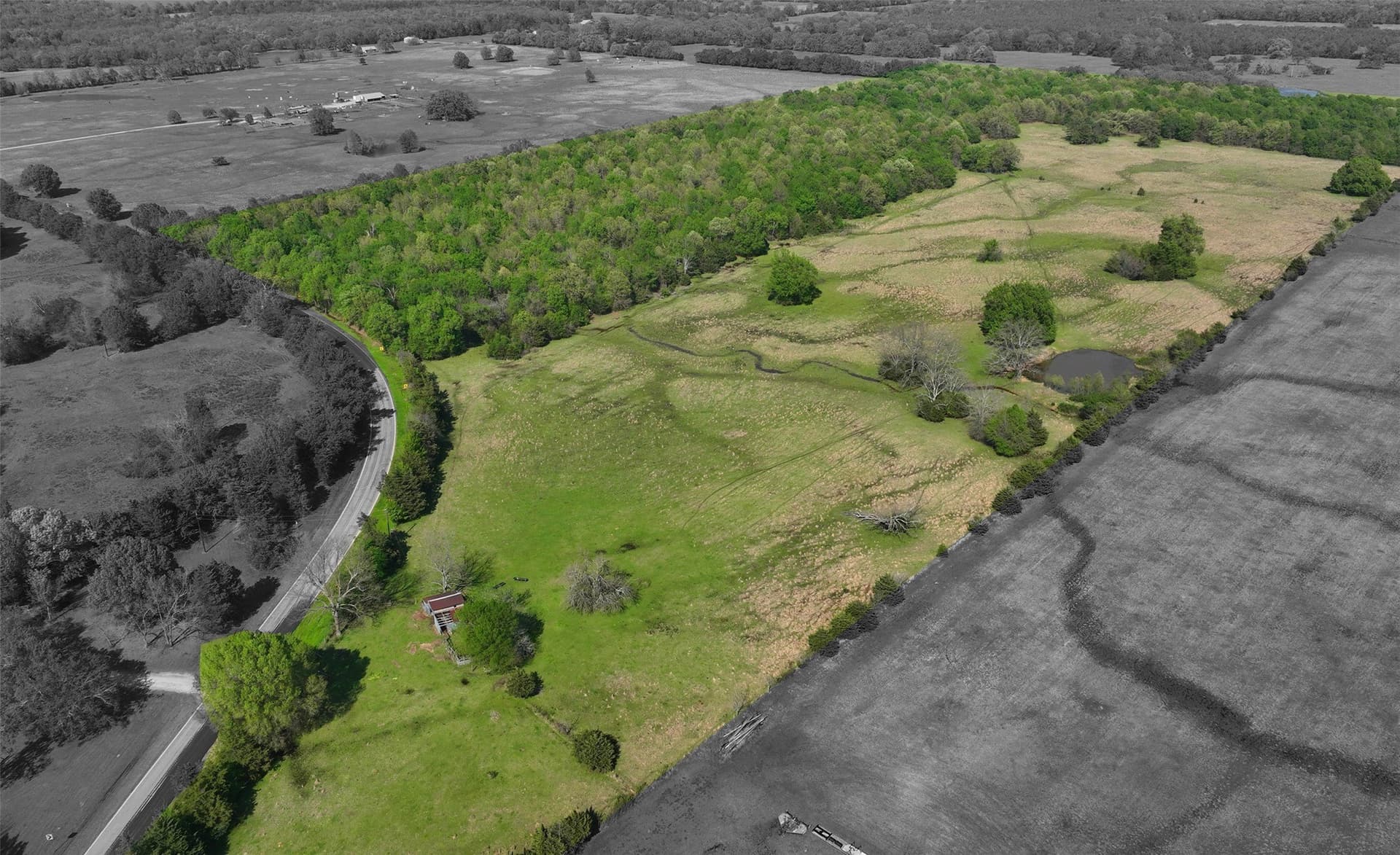 69.34 acres in Lamar County - photo 9