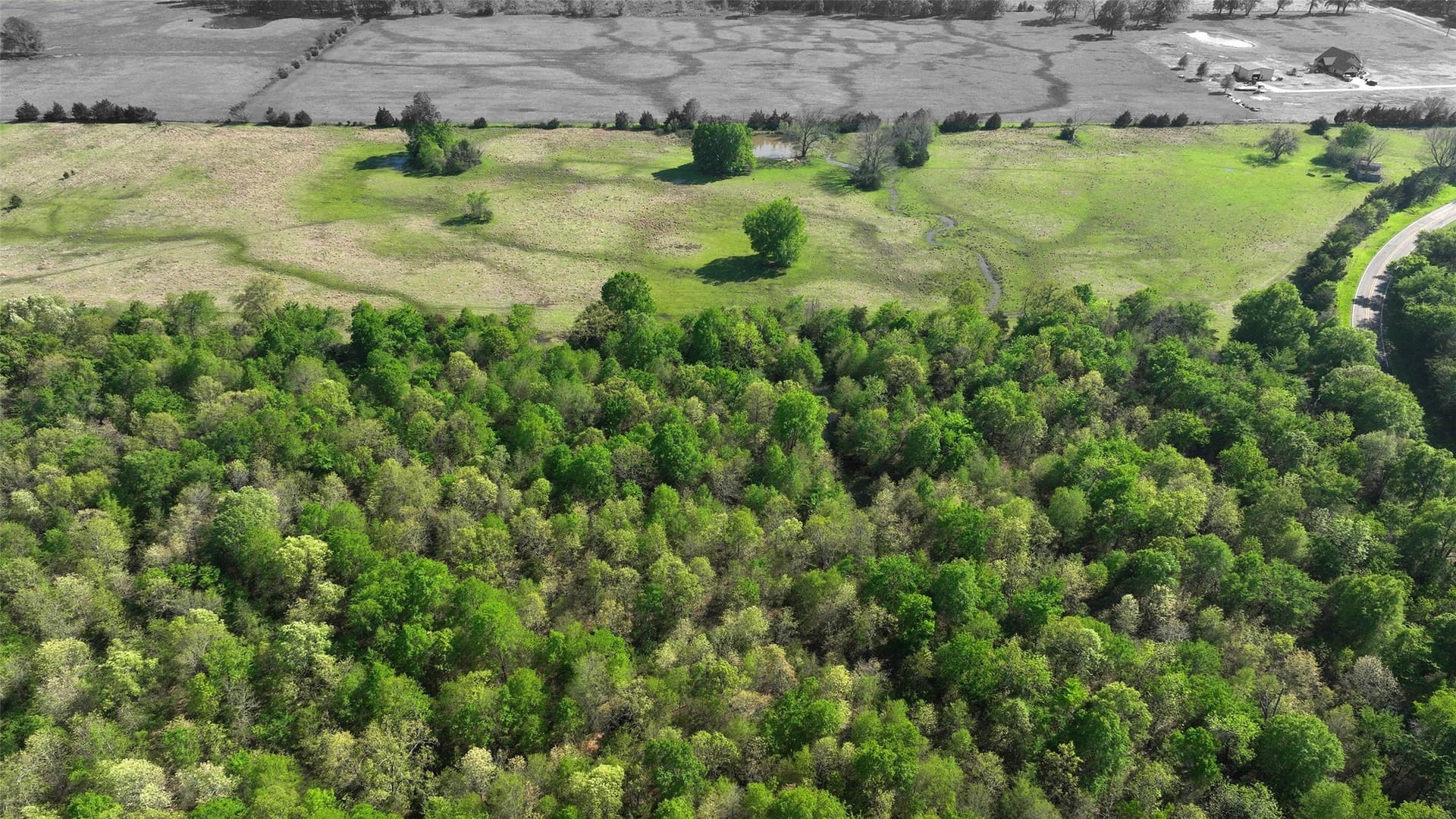 69.34 acres in Lamar County featured view