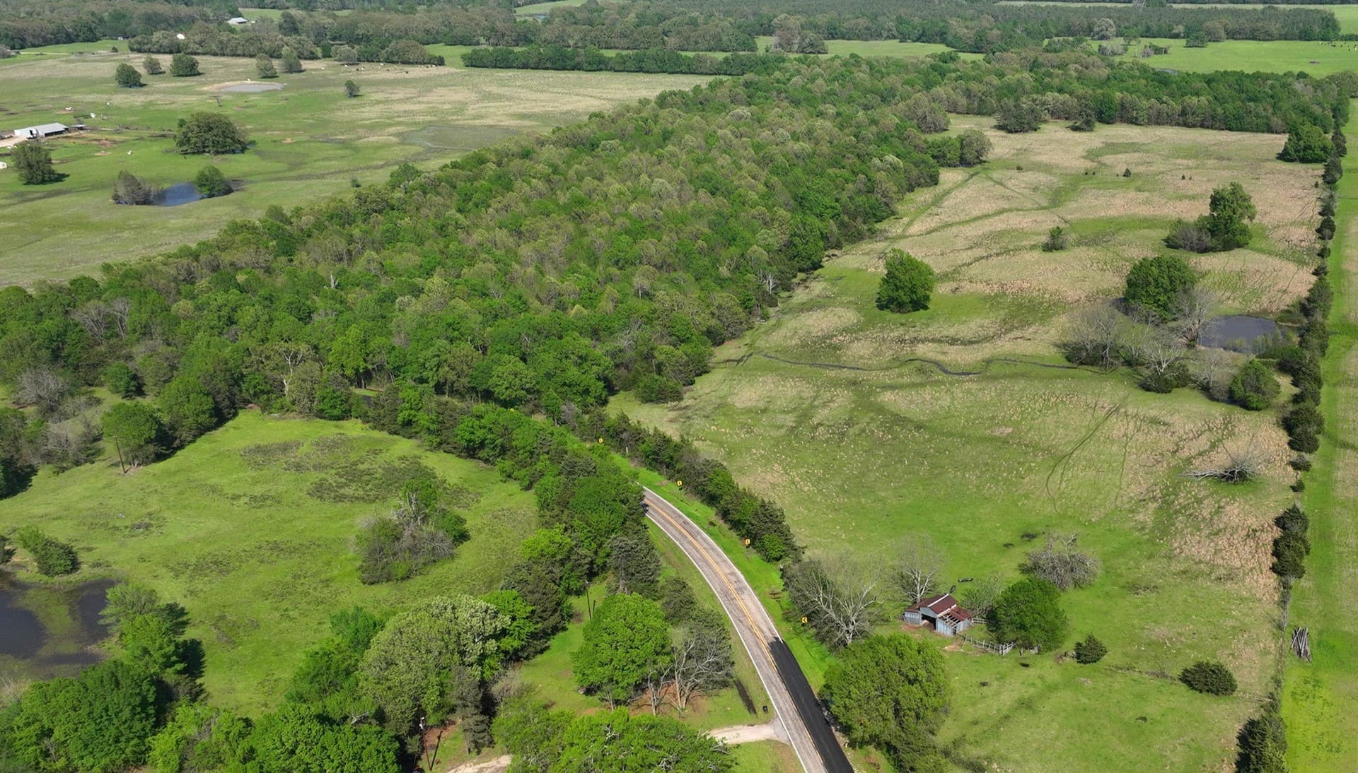 69.34 acres in Lamar County - photo 7