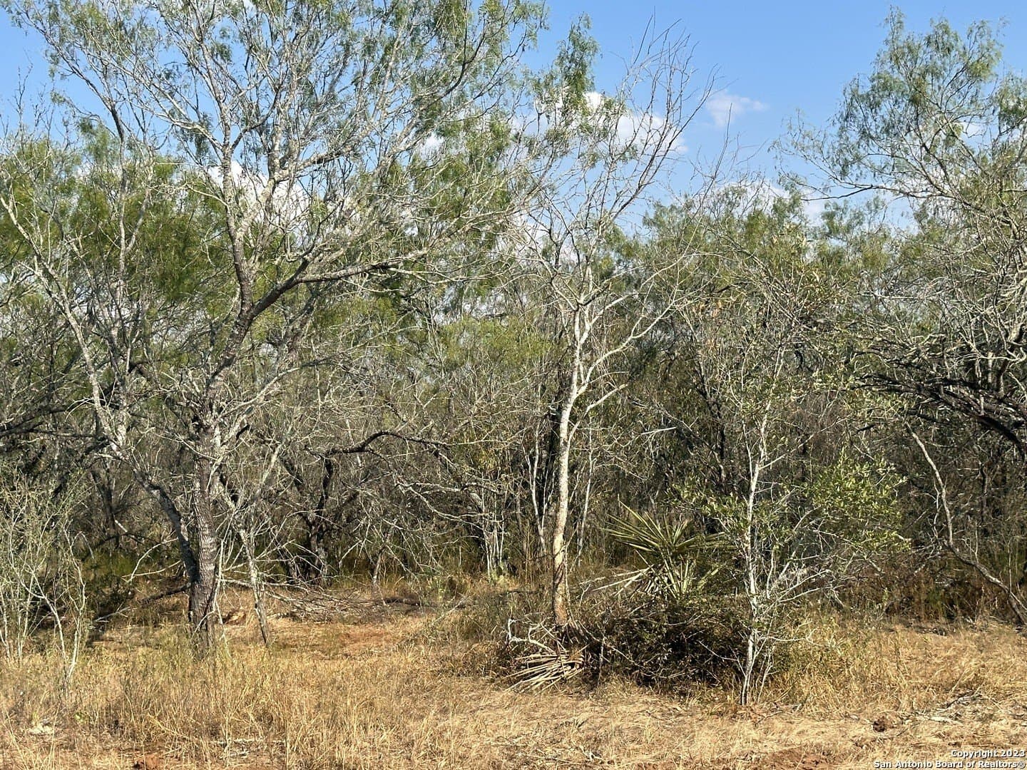 5.63 acres in Wilson County featured view