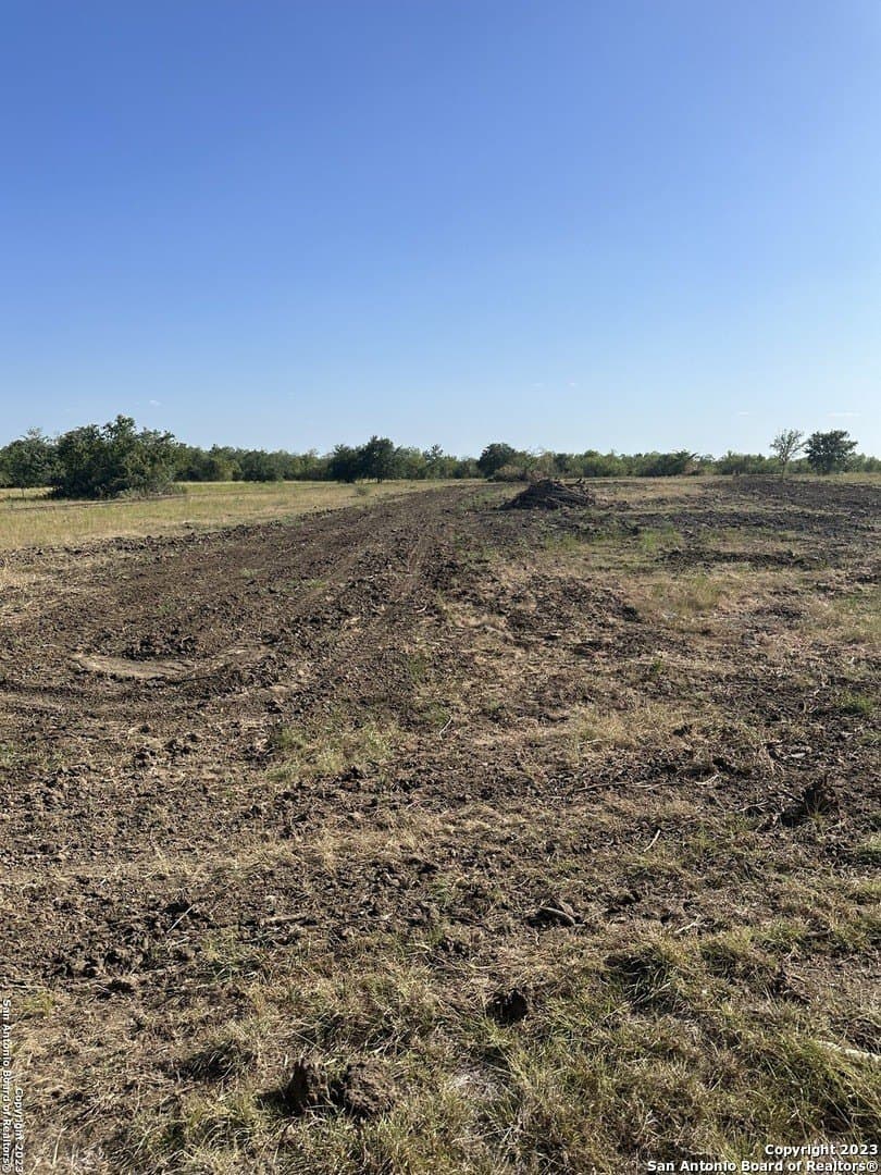 5.63 acres in Wilson County gallery image 4