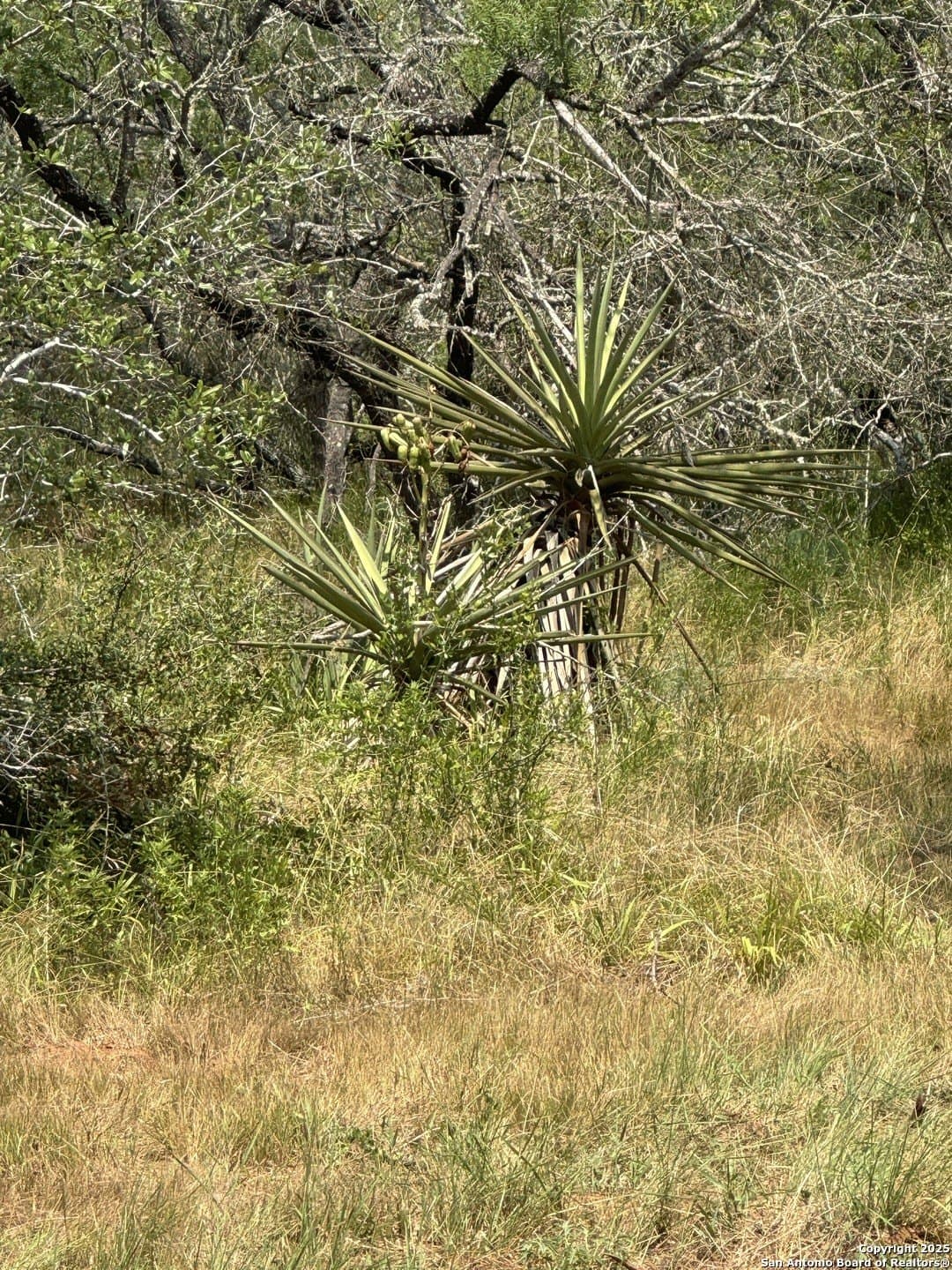 5.63 acres in Wilson County