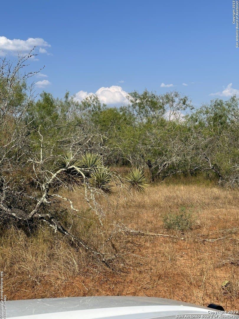 5.63 acres in Wilson County gallery image 3