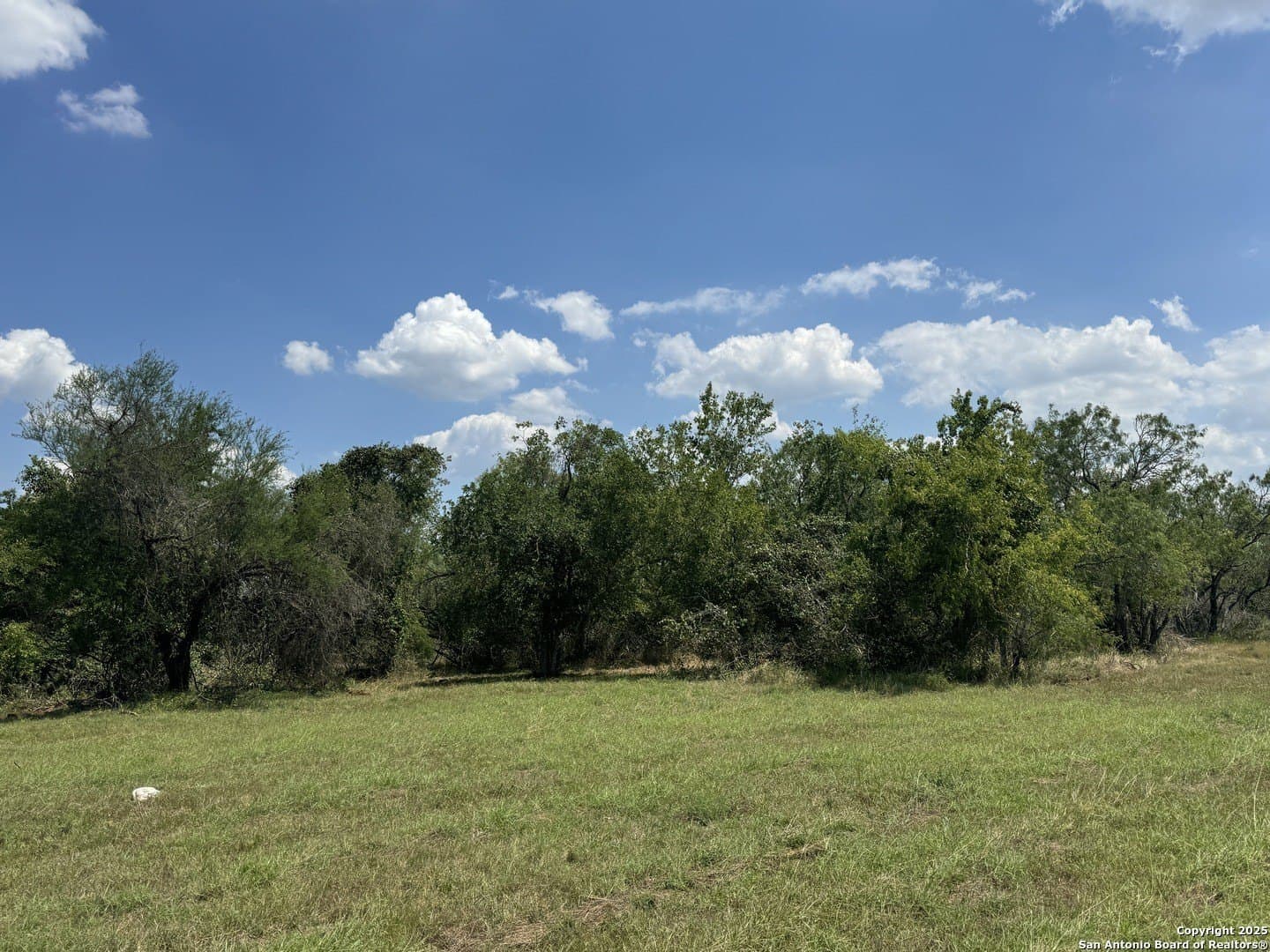 5.63 acres in Wilson County gallery image 2