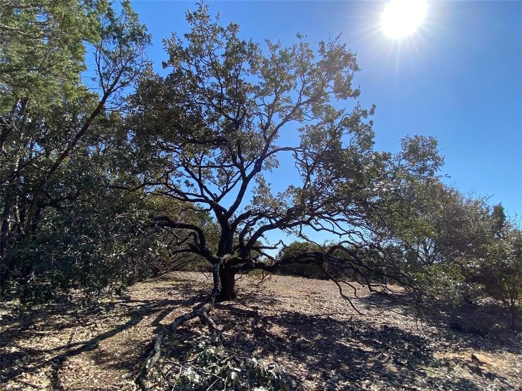 10.02 acres in Palo Pinto County gallery image 4