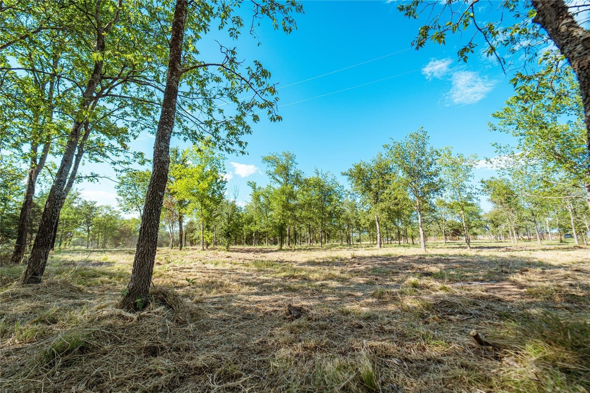 1 acres in Cooke County - photo 10
