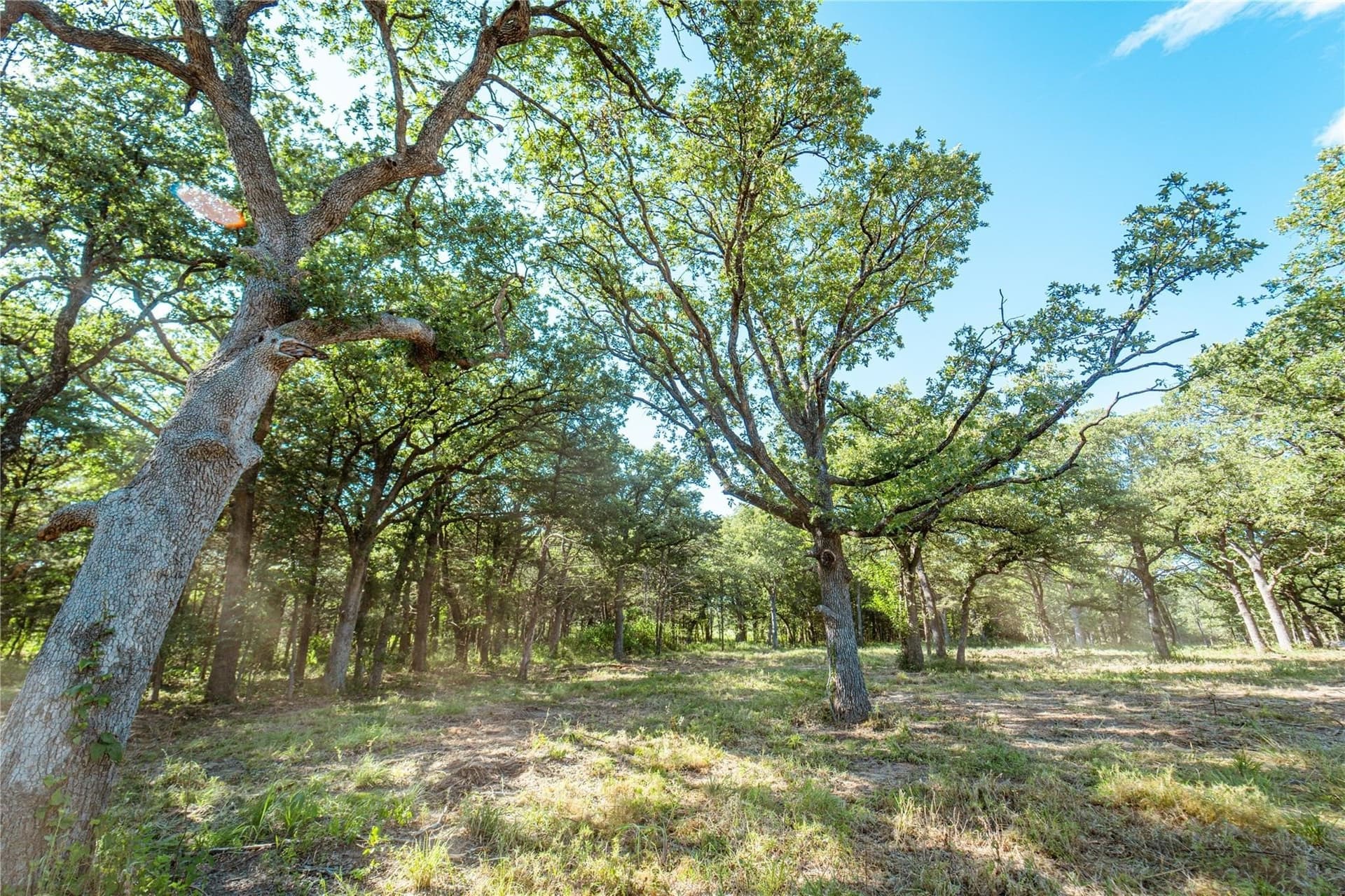 1 acres in Cooke County - photo 13
