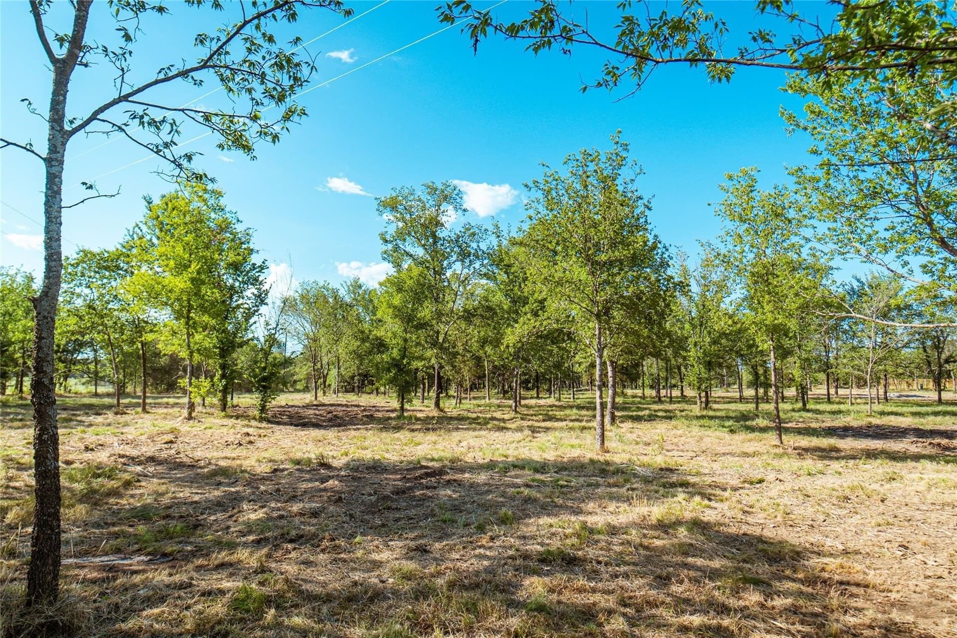 1 acres in Cooke County - photo 7