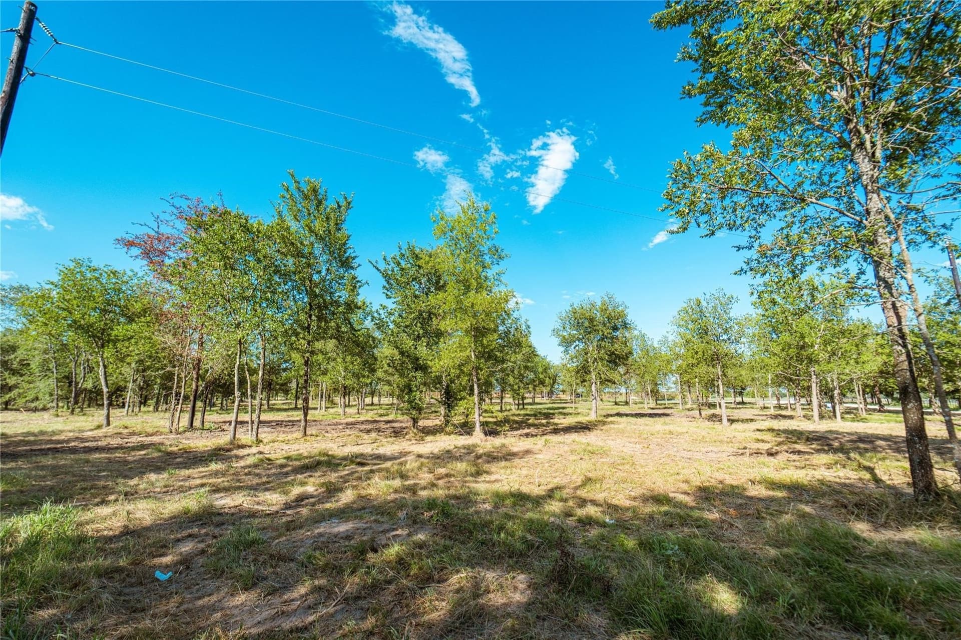 1 acres in Cooke County gallery image 3