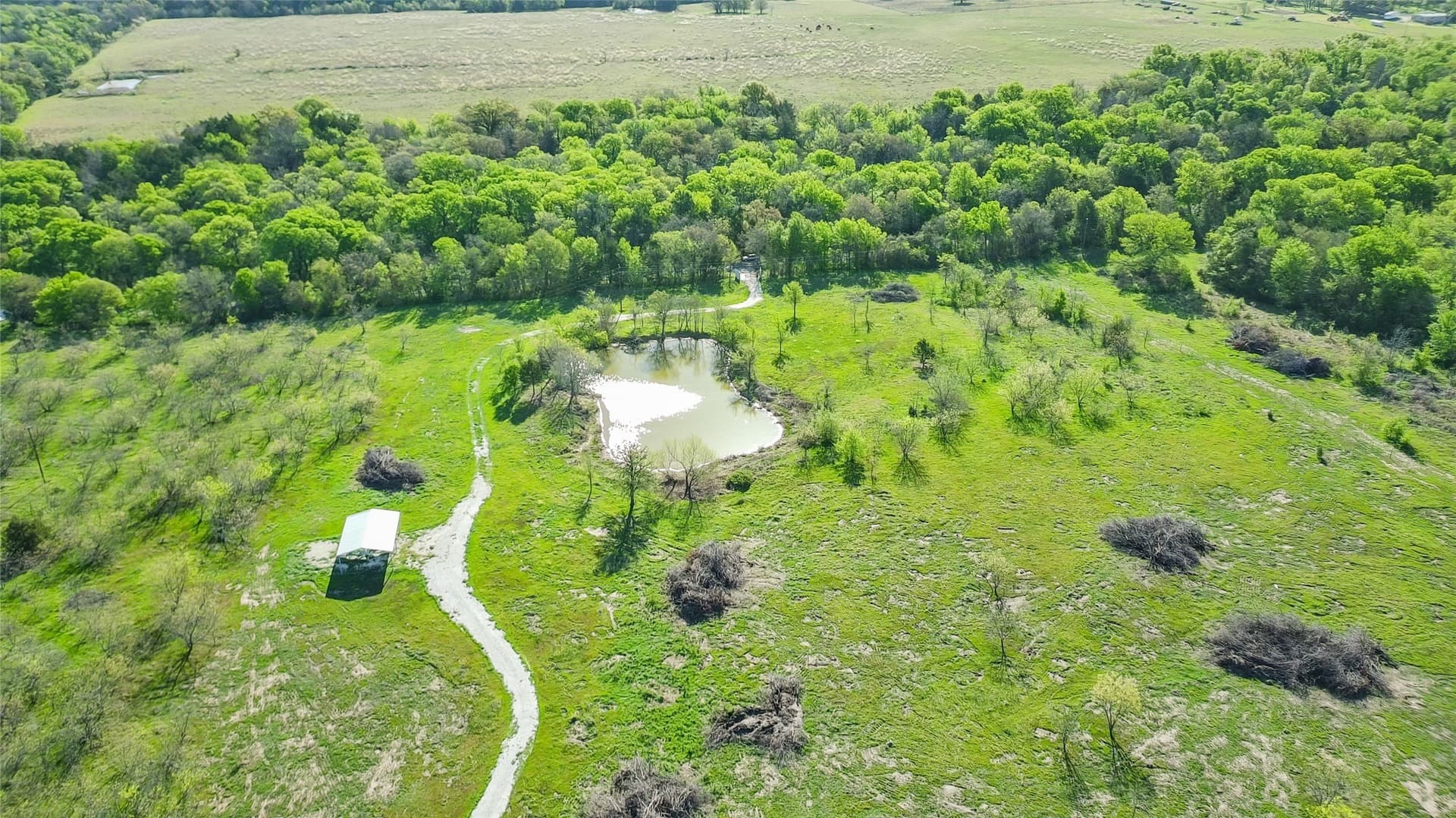 23.83 acres in Freestone County - photo 23