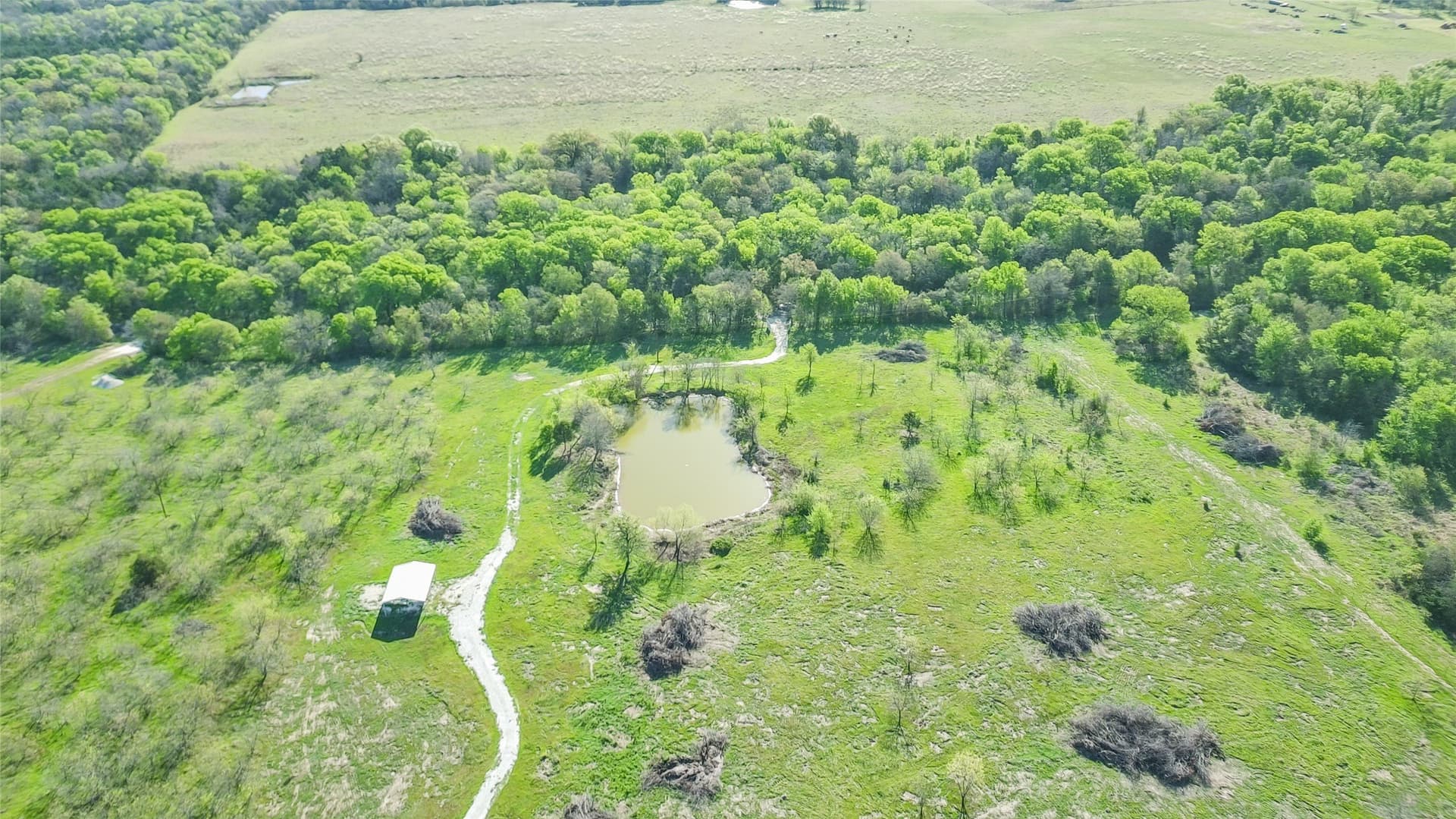 23.83 acres in Freestone County - photo 28