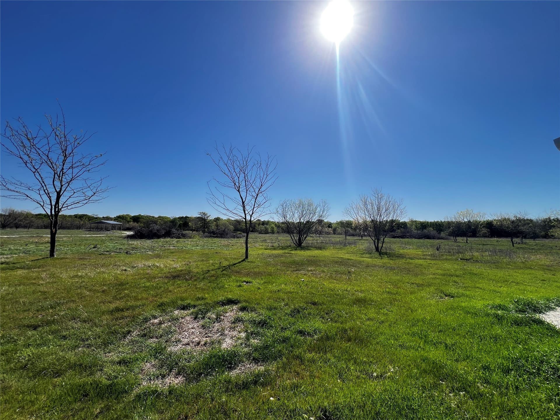 23.83 acres in Freestone County - photo 6