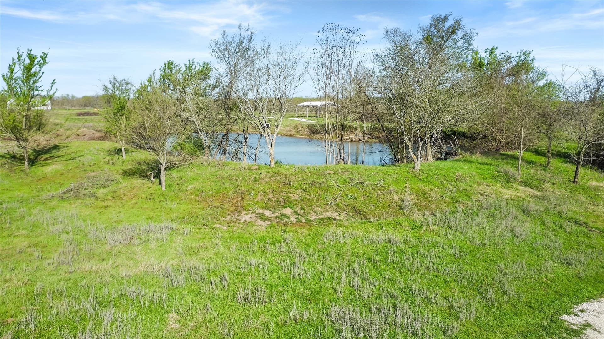 23.83 acres in Freestone County - photo 20