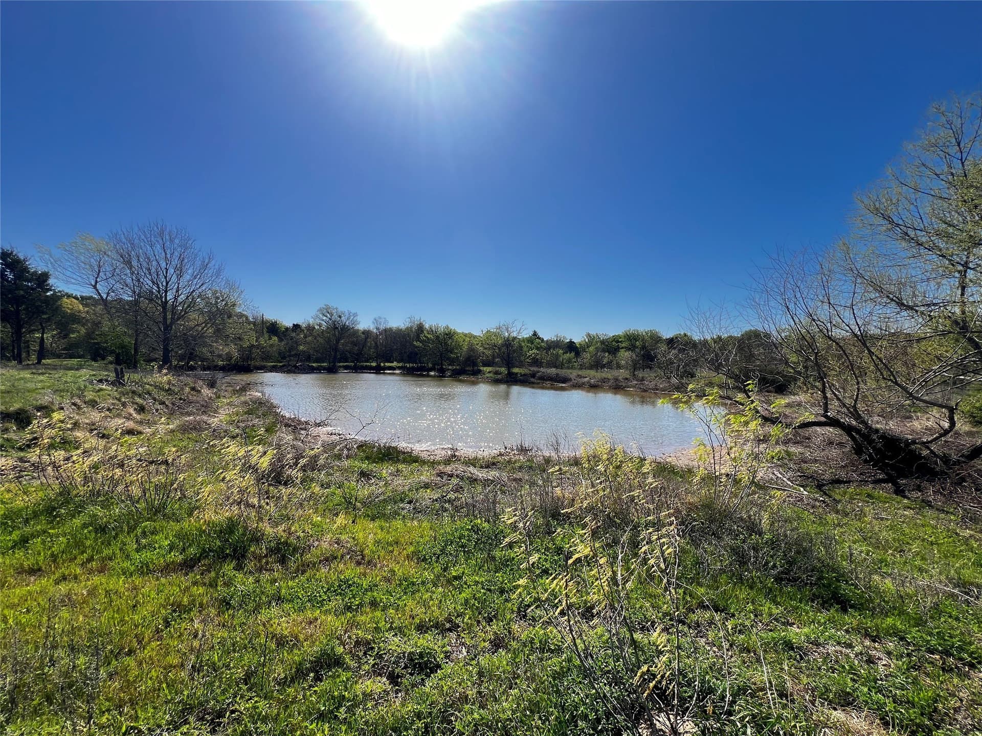 23.83 acres in Freestone County gallery image 4