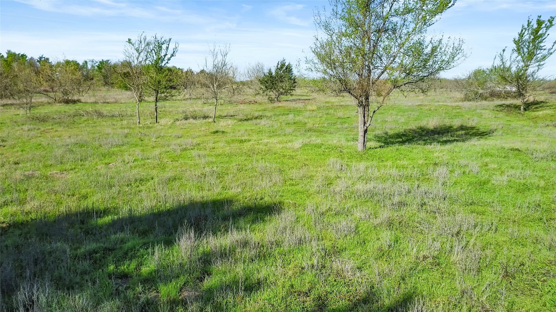 23.83 acres in Freestone County - photo 17