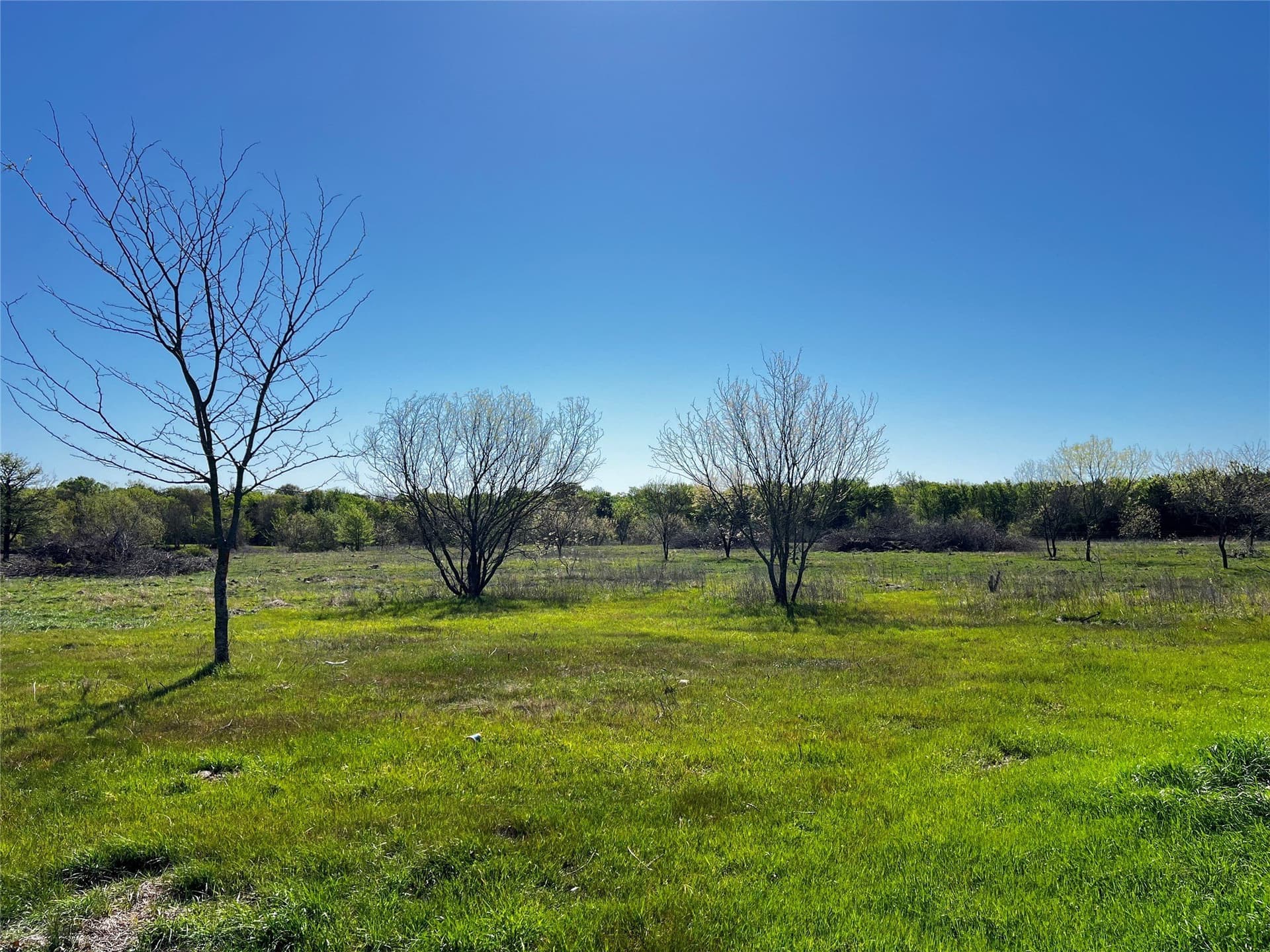 23.83 acres in Freestone County - photo 7