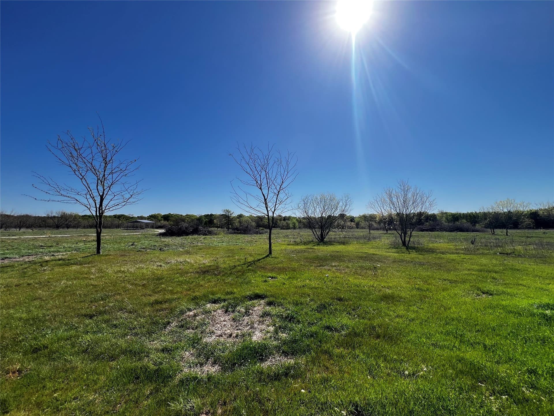 23.83 acres in Freestone County - photo 8