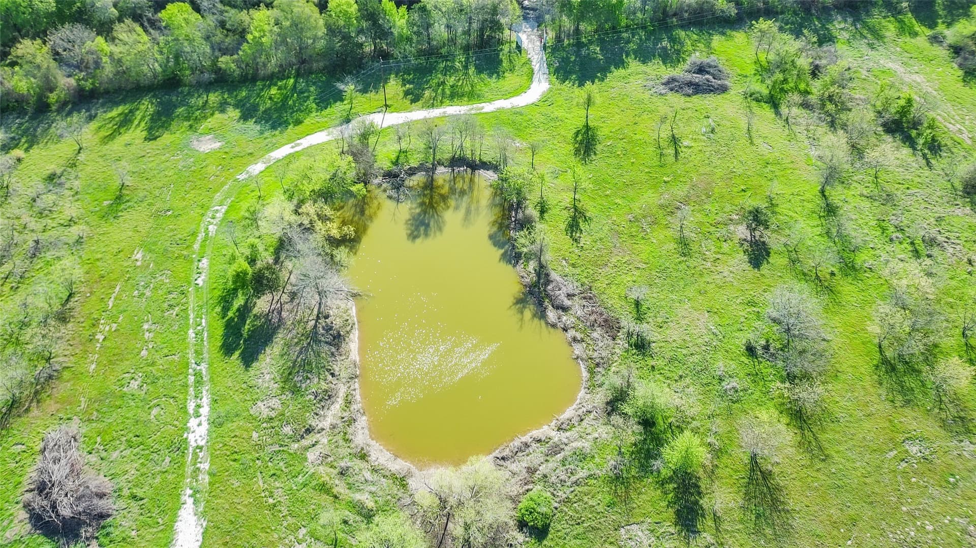 23.83 acres in Freestone County - photo 22