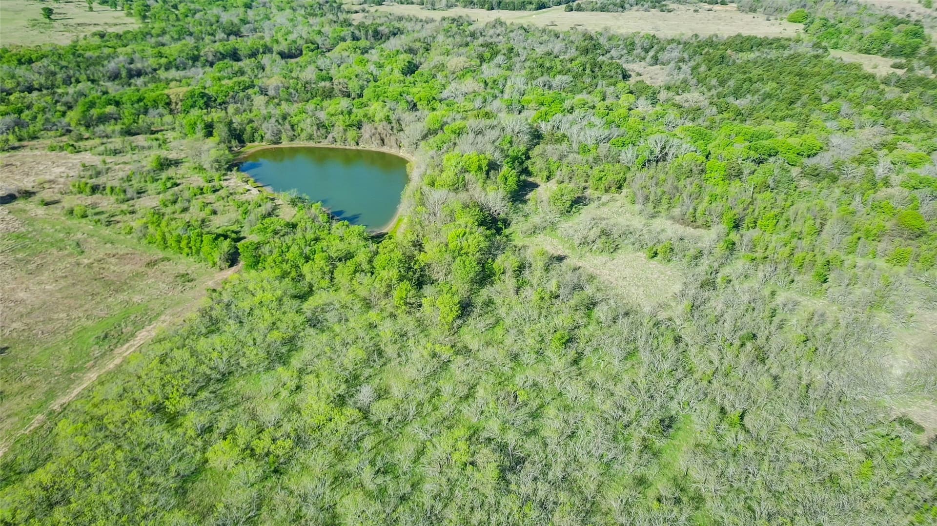 23.83 acres in Freestone County - photo 29