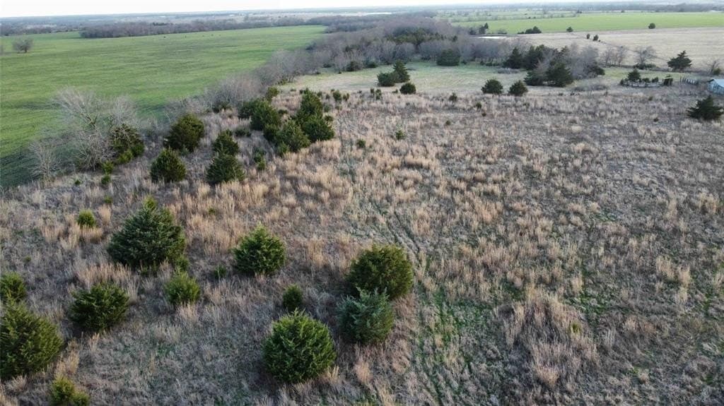 15 acres in Fannin County gallery image 4