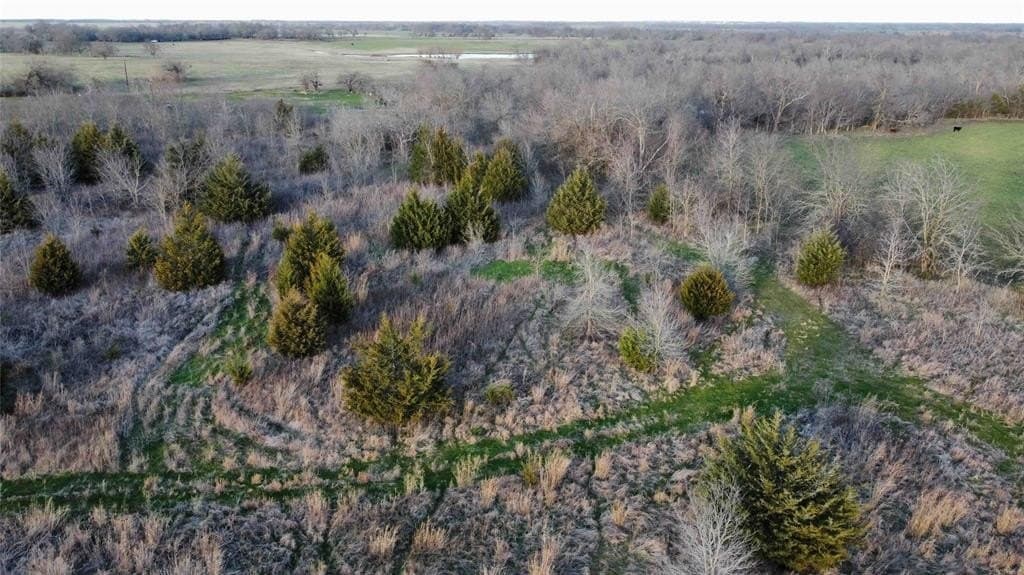 15 acres in Fannin County featured view