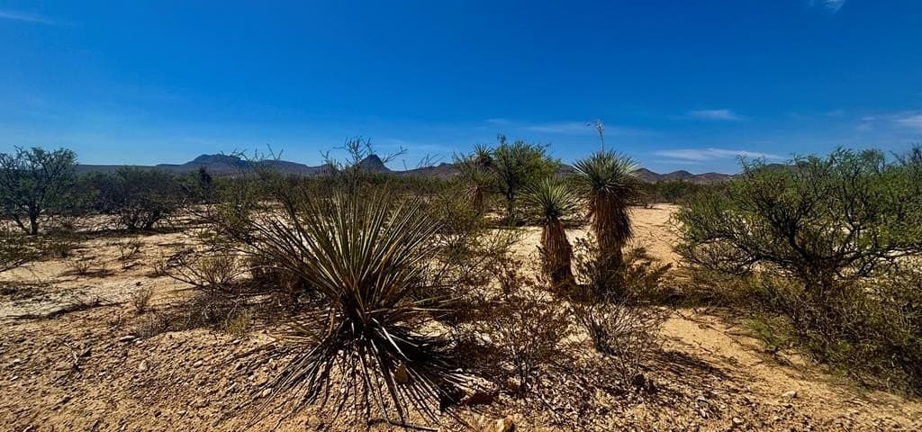 5 acres in Brewster County gallery image 2