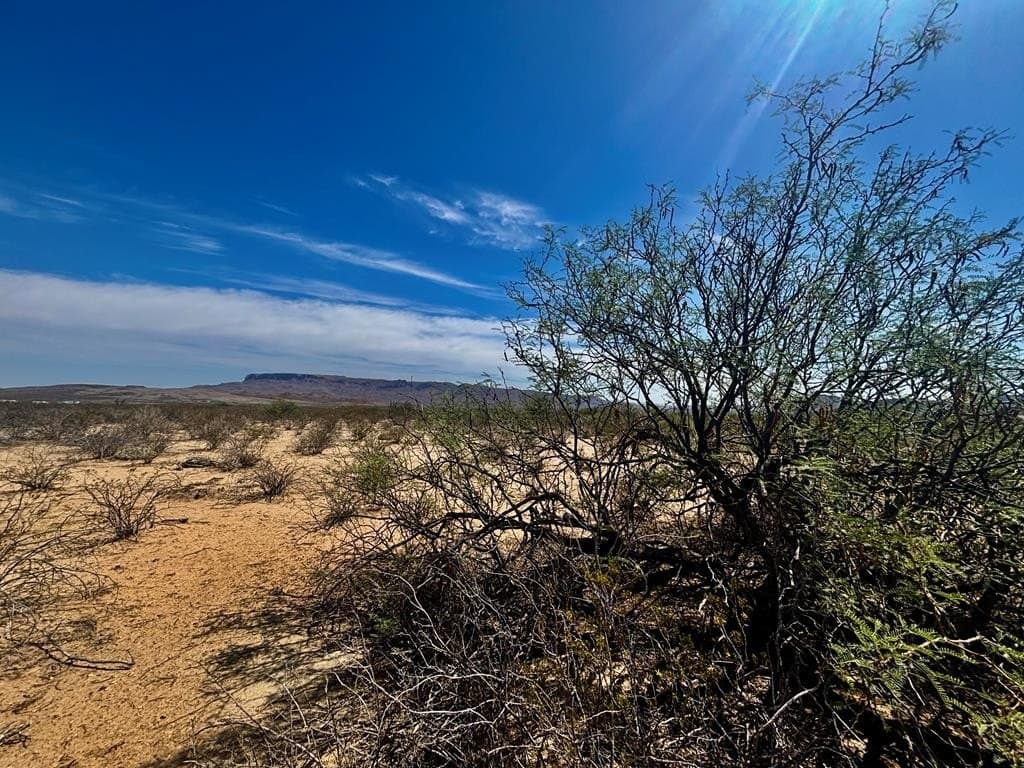 5 acres in Brewster County gallery image 4
