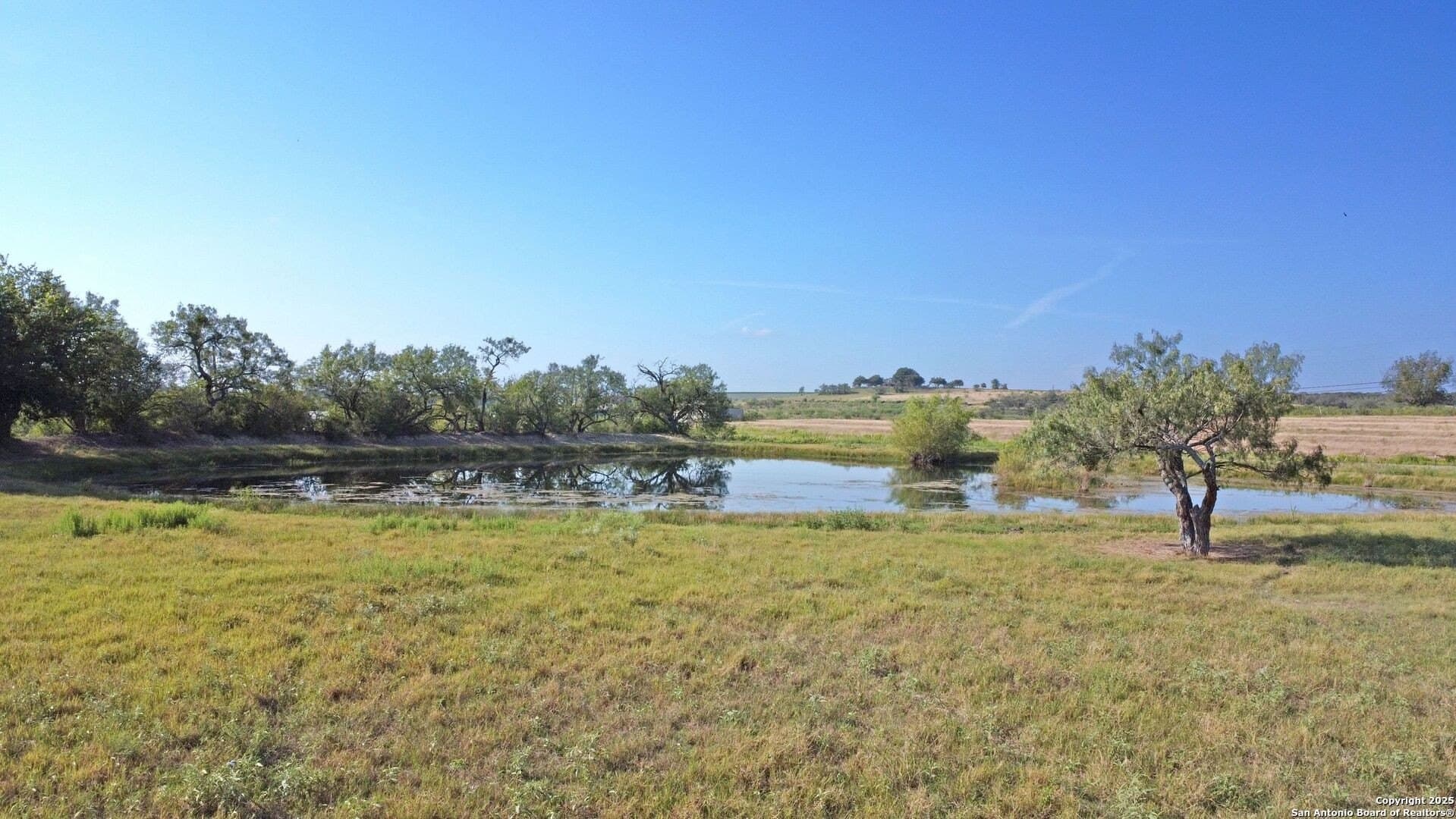 17.78 acres in Comal County - photo 8