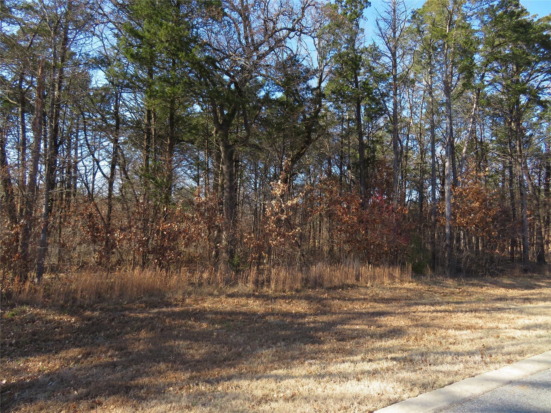 0.22 acres in Grayson County gallery image 4