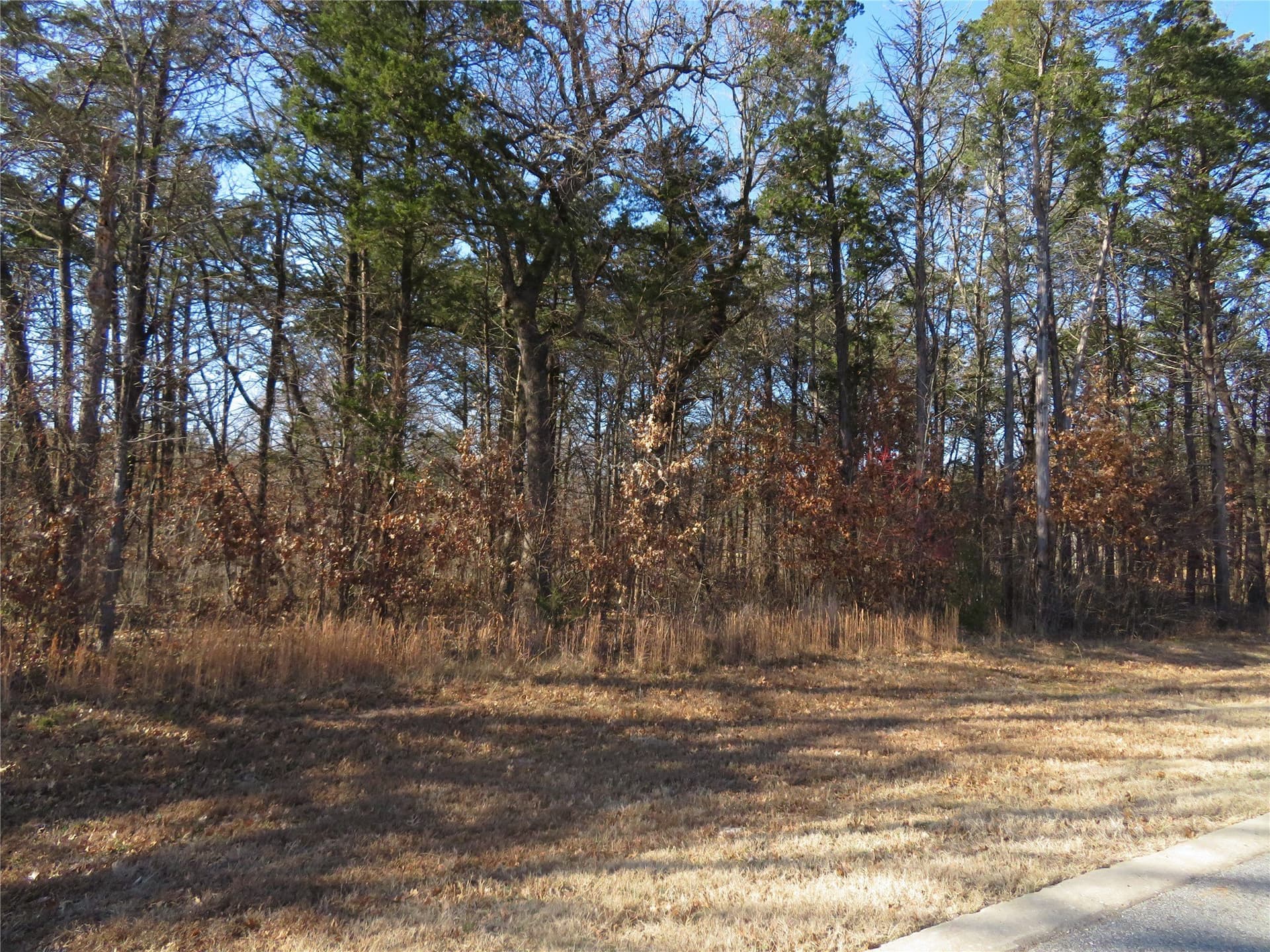 0.22 acres in Grayson County gallery image 3