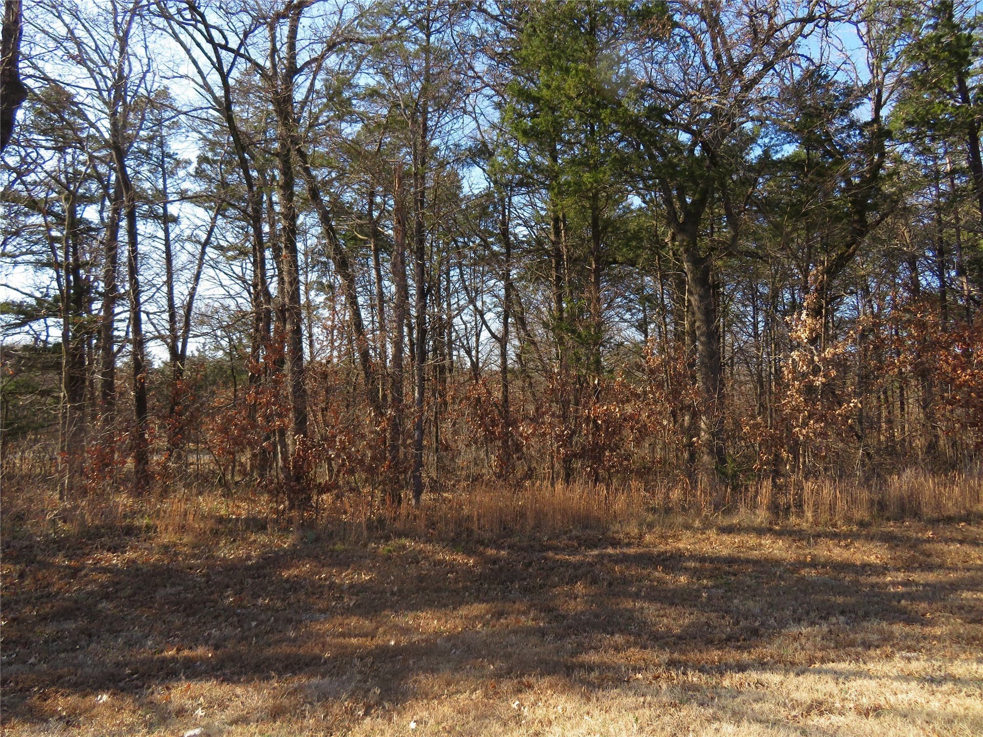 0.22 acres in Grayson County gallery image 2