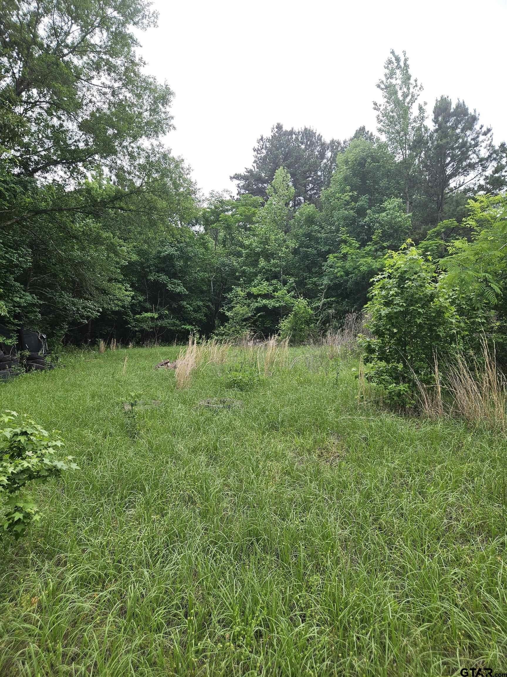 8.84 acres in Smith County gallery image 3