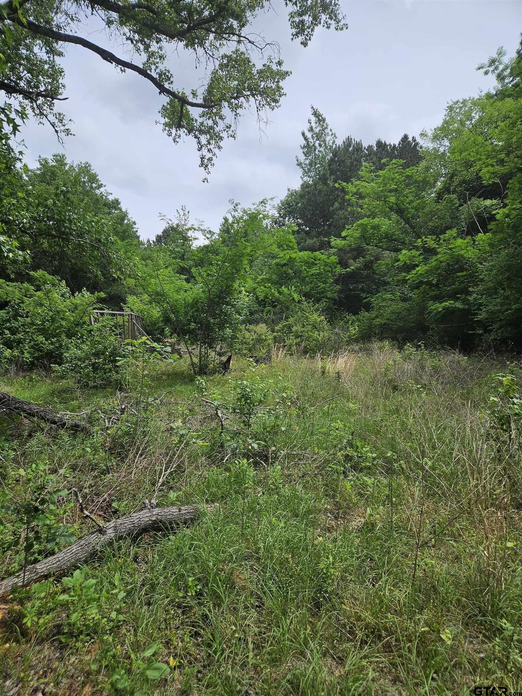 8.84 acres in Smith County gallery image 2