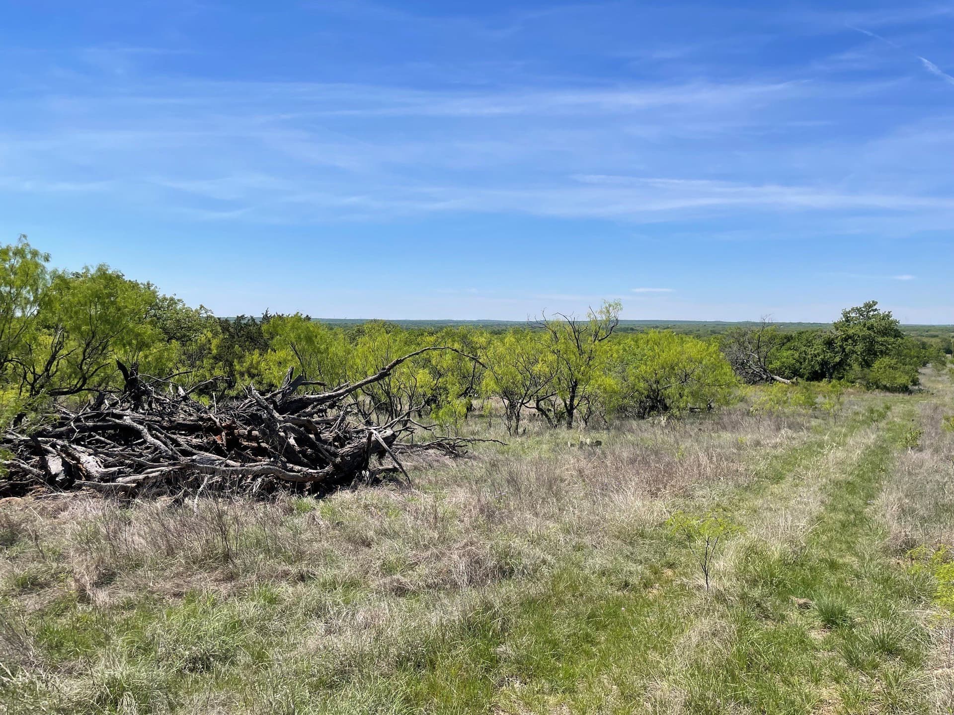 10.02 acres in Eastland County - photo 6