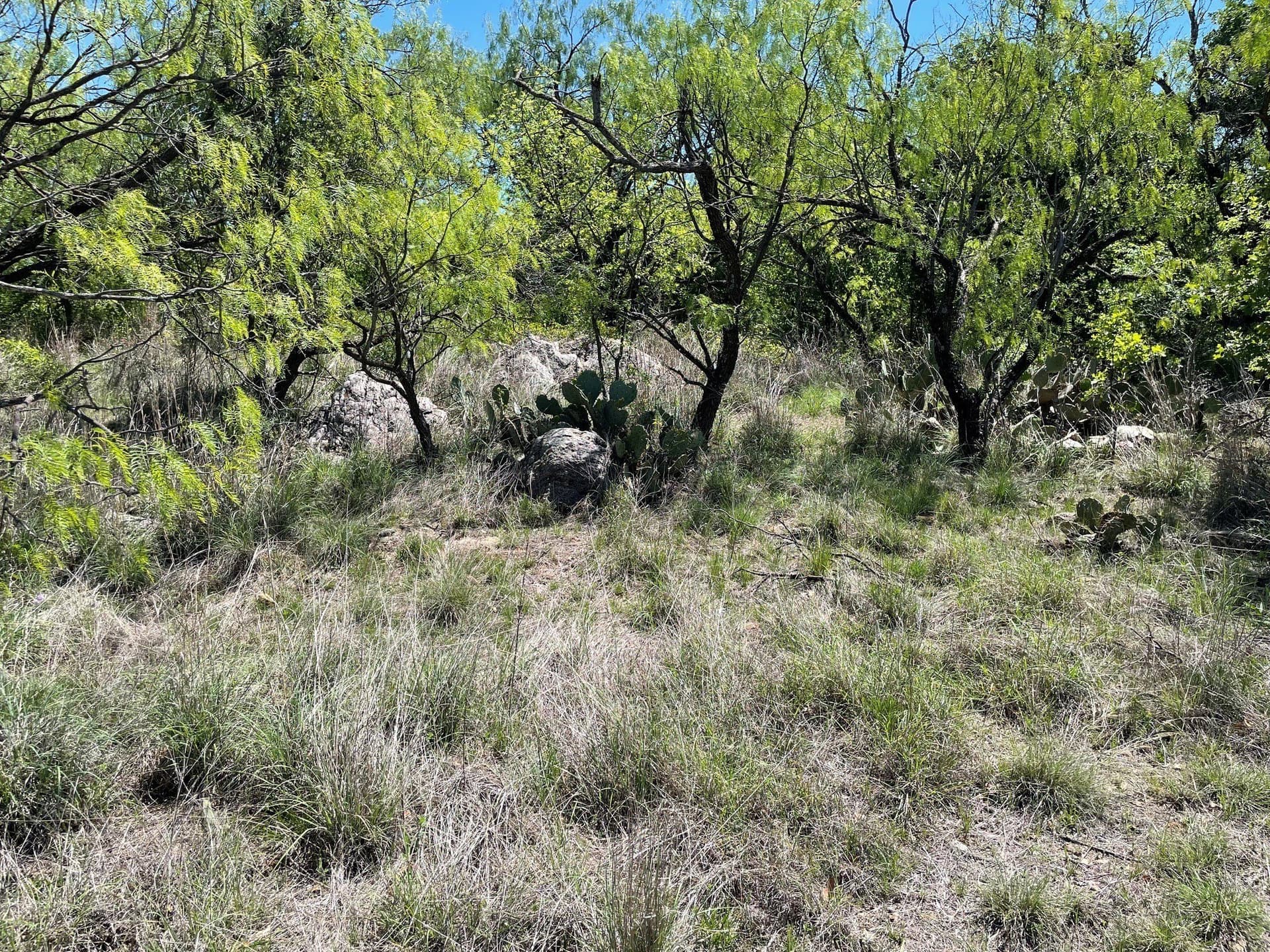 10.02 acres in Eastland County - photo 8