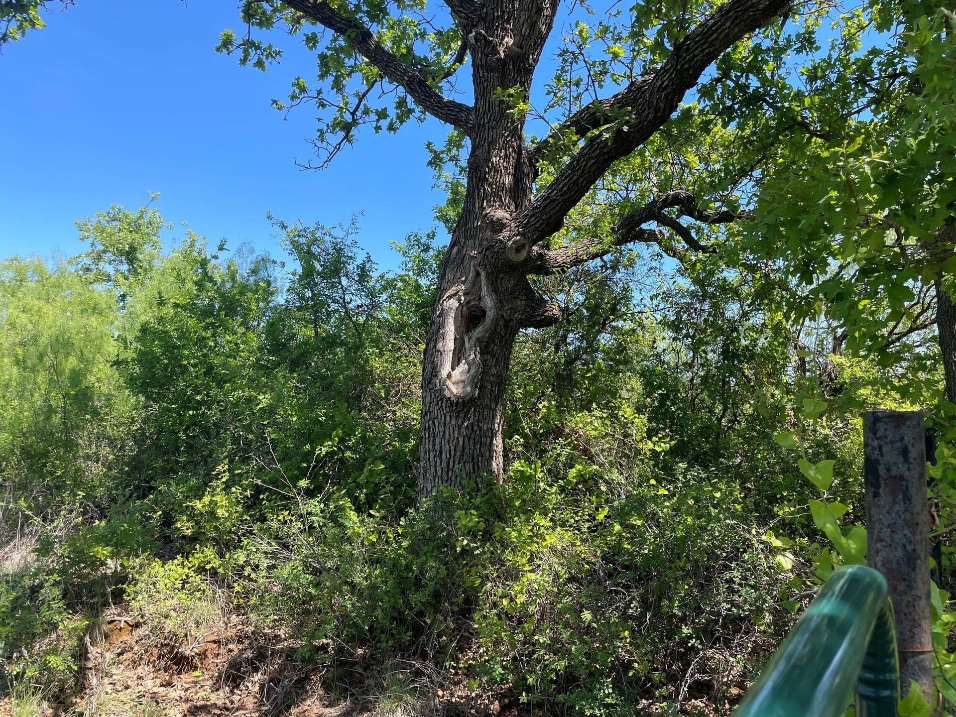 10.02 acres in Eastland County - photo 11