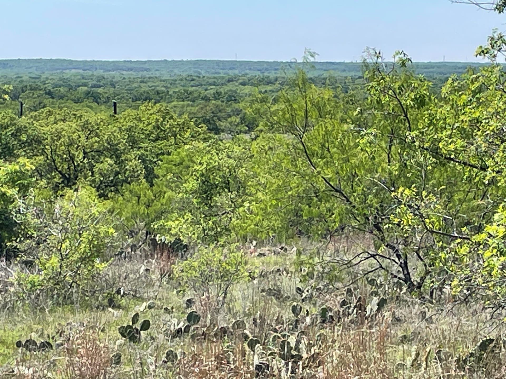 10.02 acres in Eastland County - photo 9