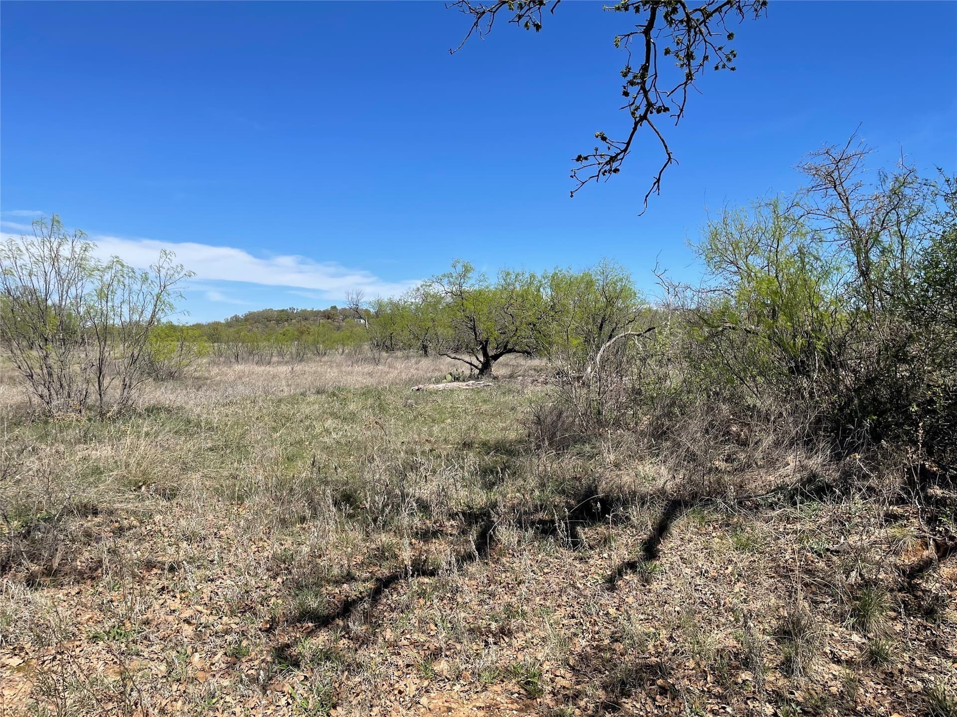 10.02 acres in Eastland County - photo 12